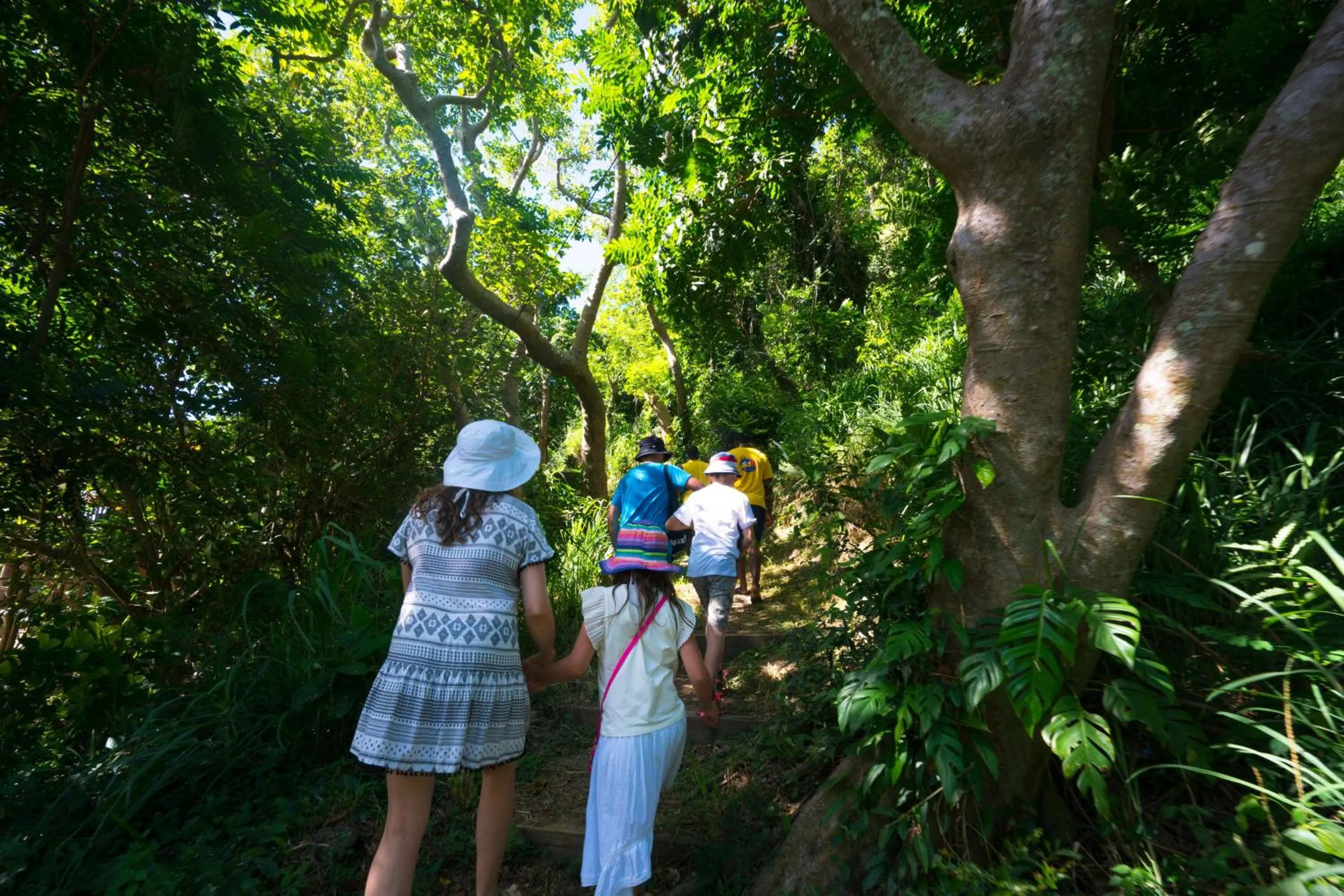 Activities in Castaway Island, Fiji