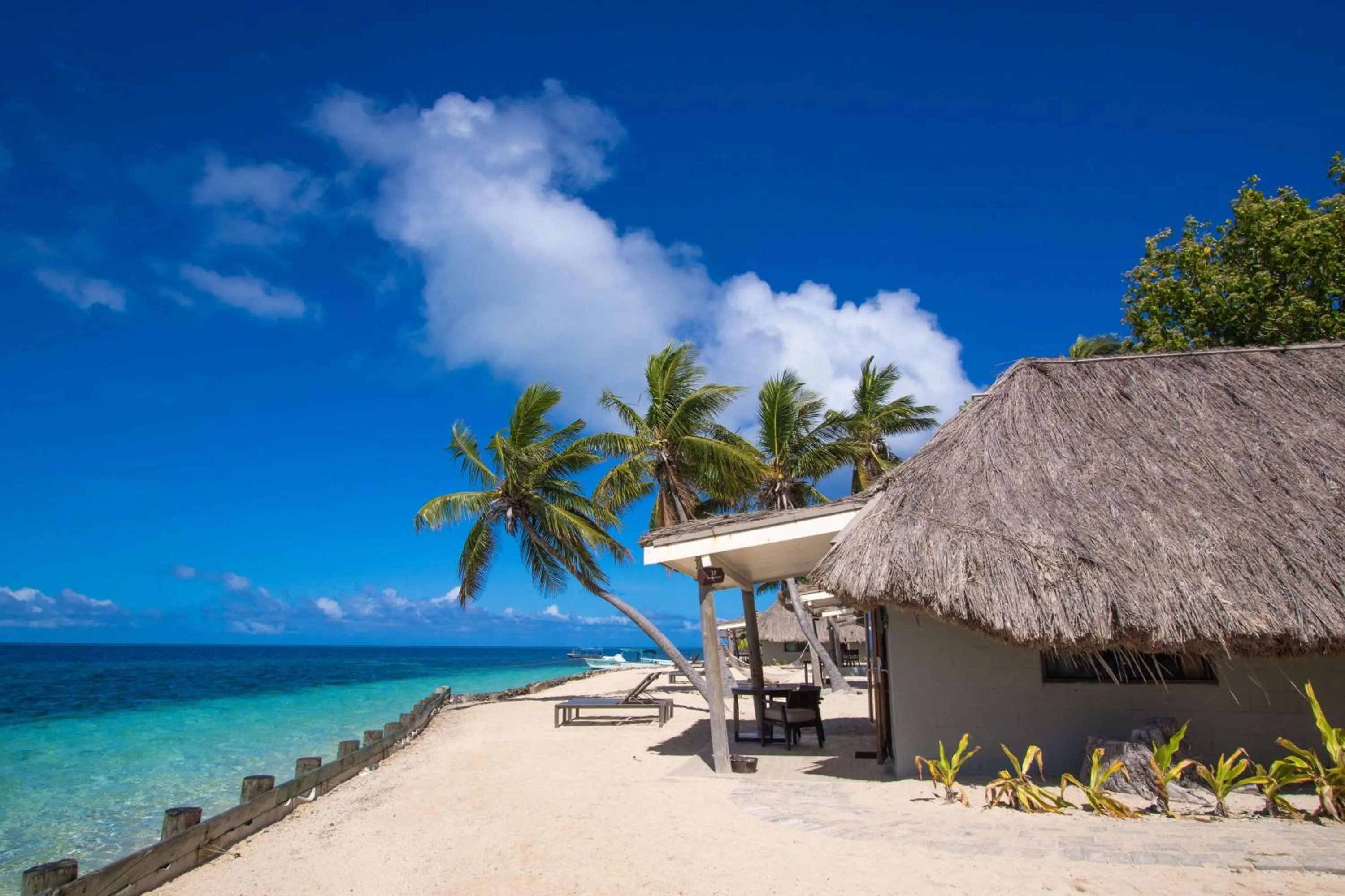 Beach in Castaway Island, Fiji