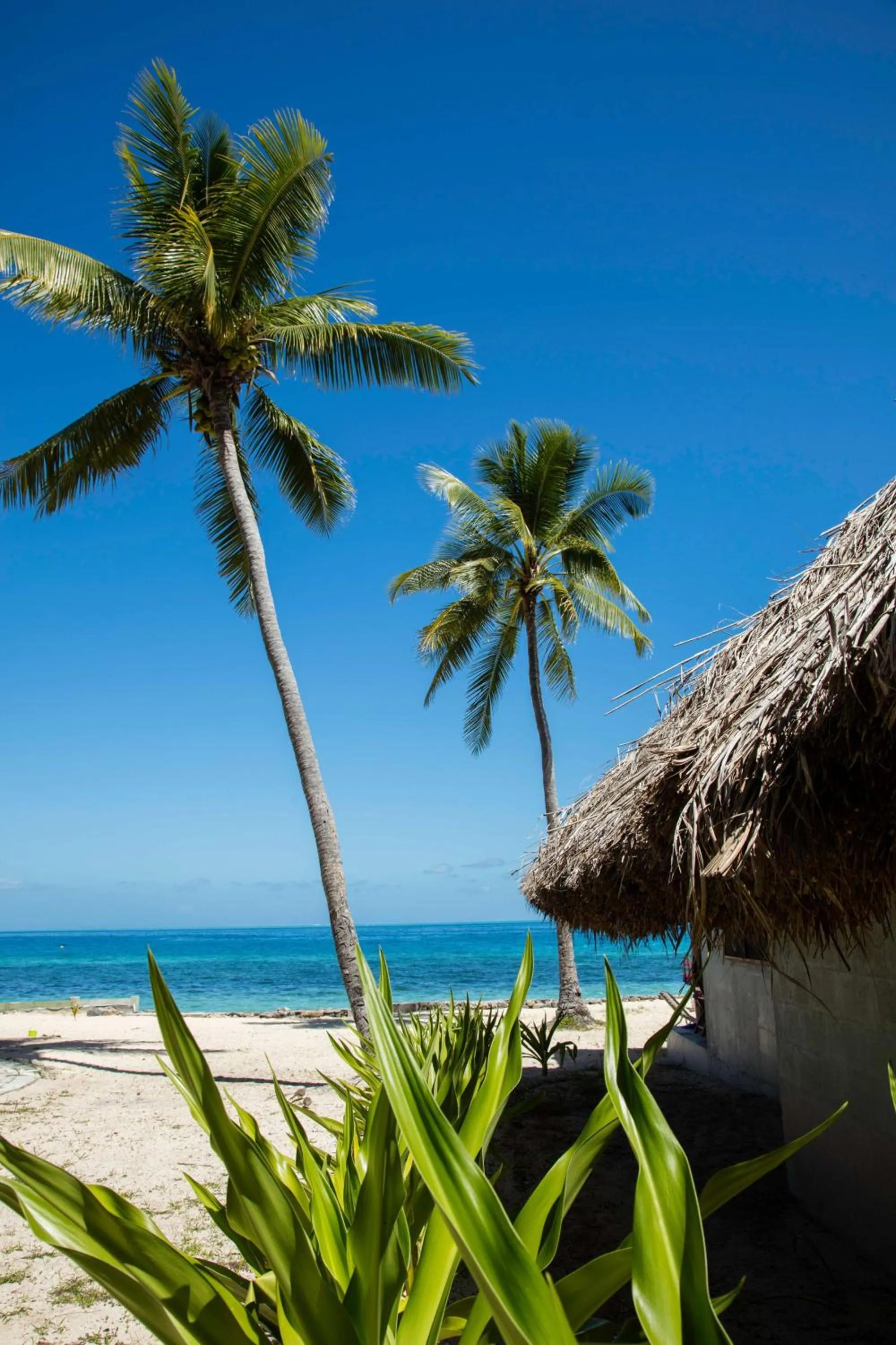 Bedroom in Castaway Island, Fiji