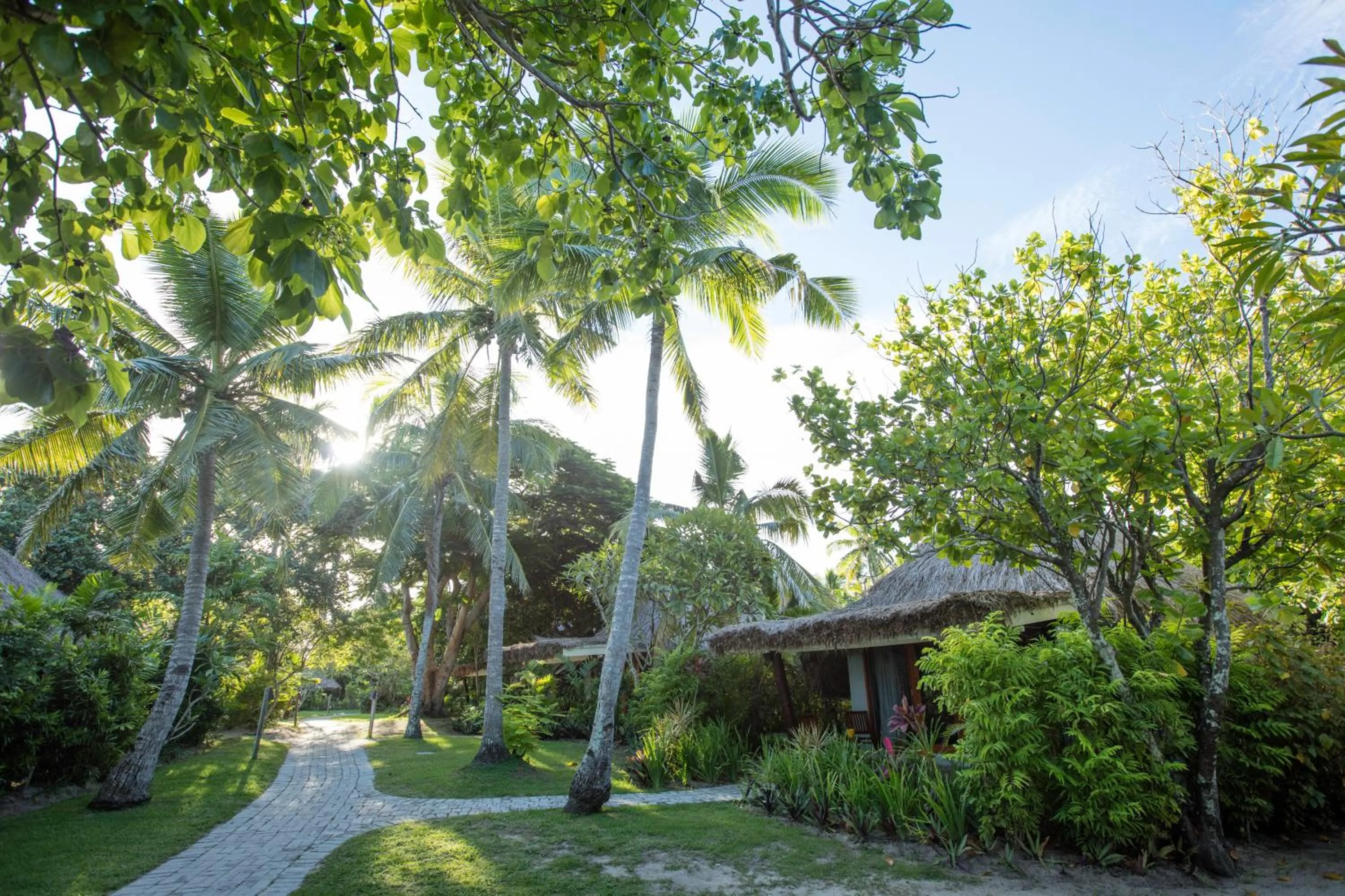 Patio in Castaway Island, Fiji