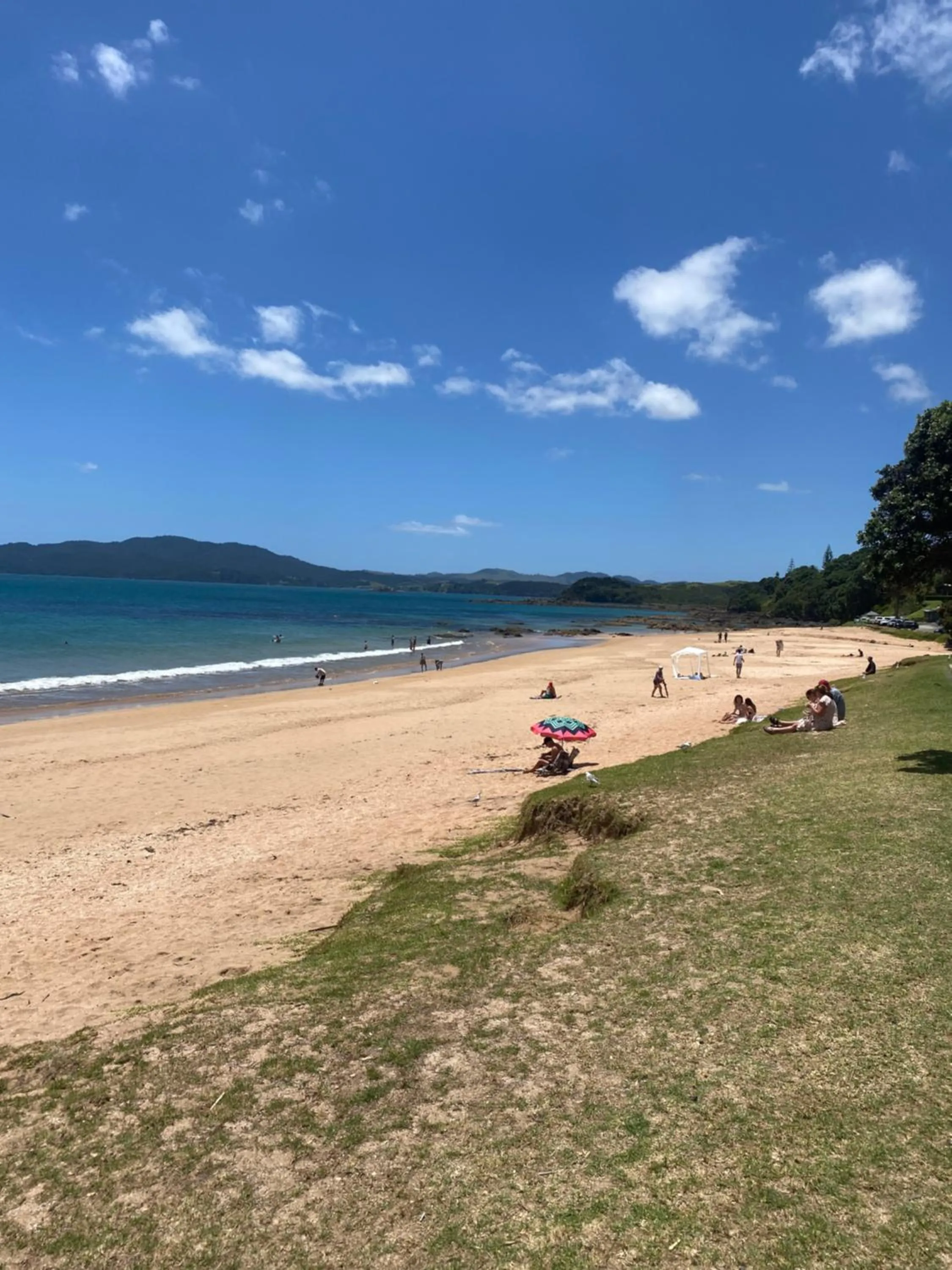 Beach in Bay of Islands Lodge