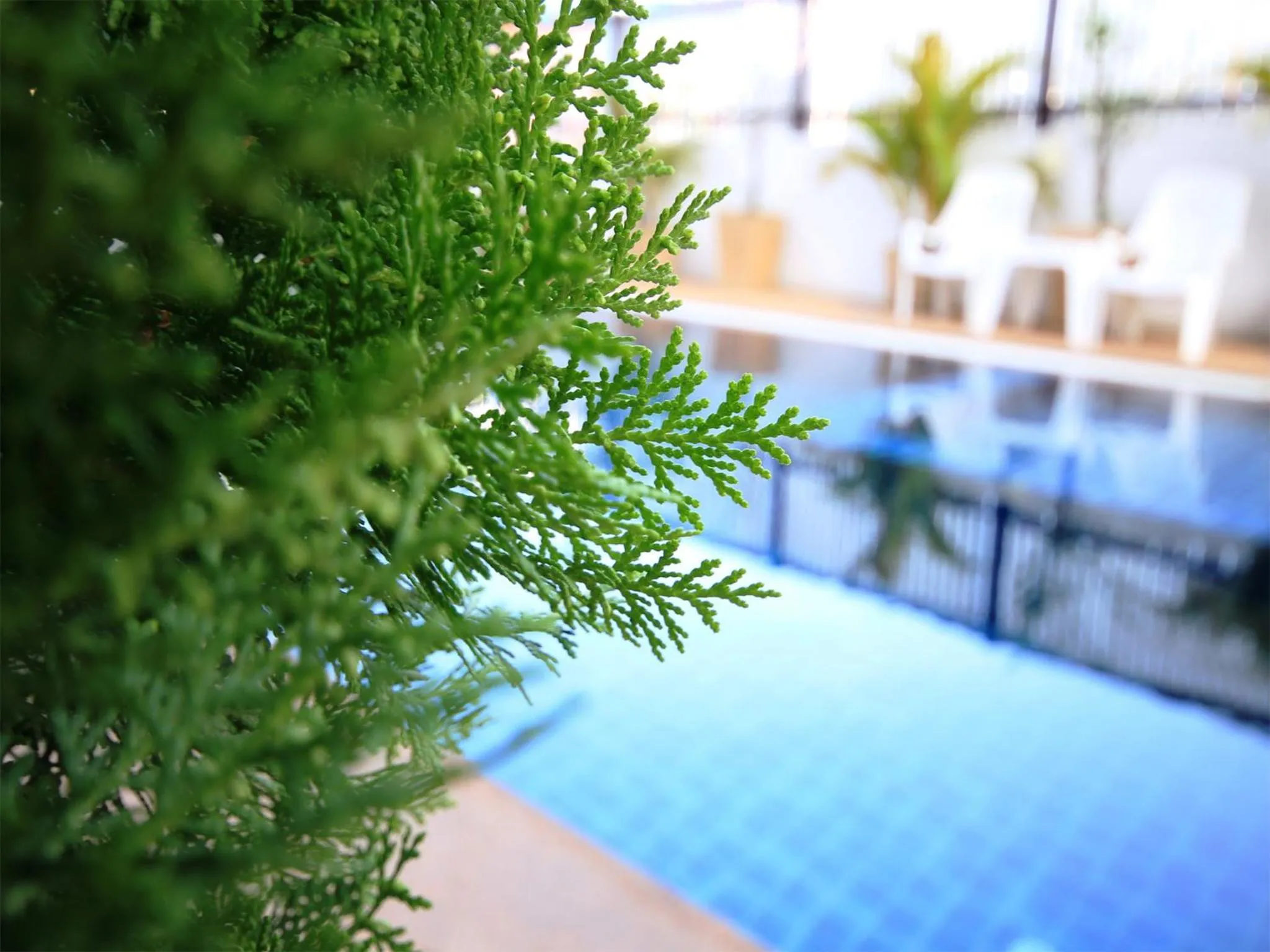 Swimming pool in Airport Resident