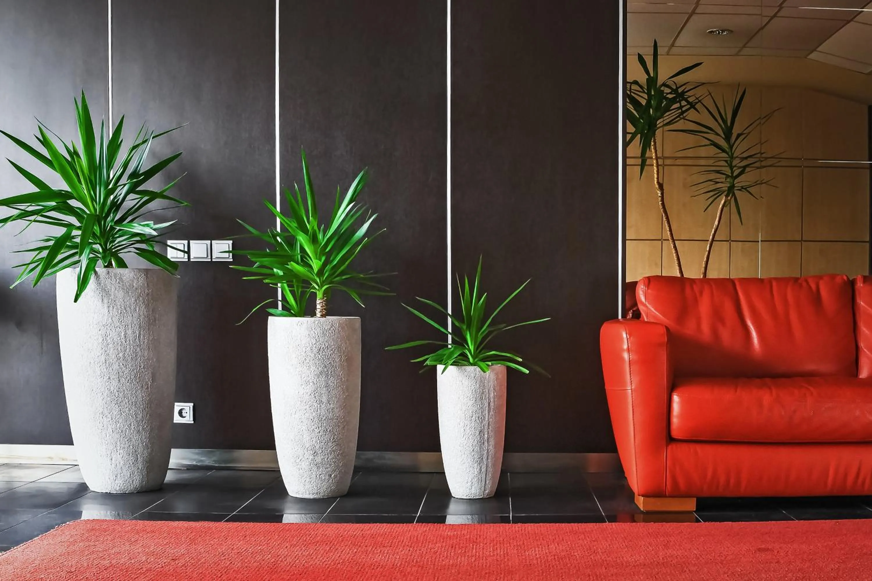 Lobby or reception in Hotel Palma