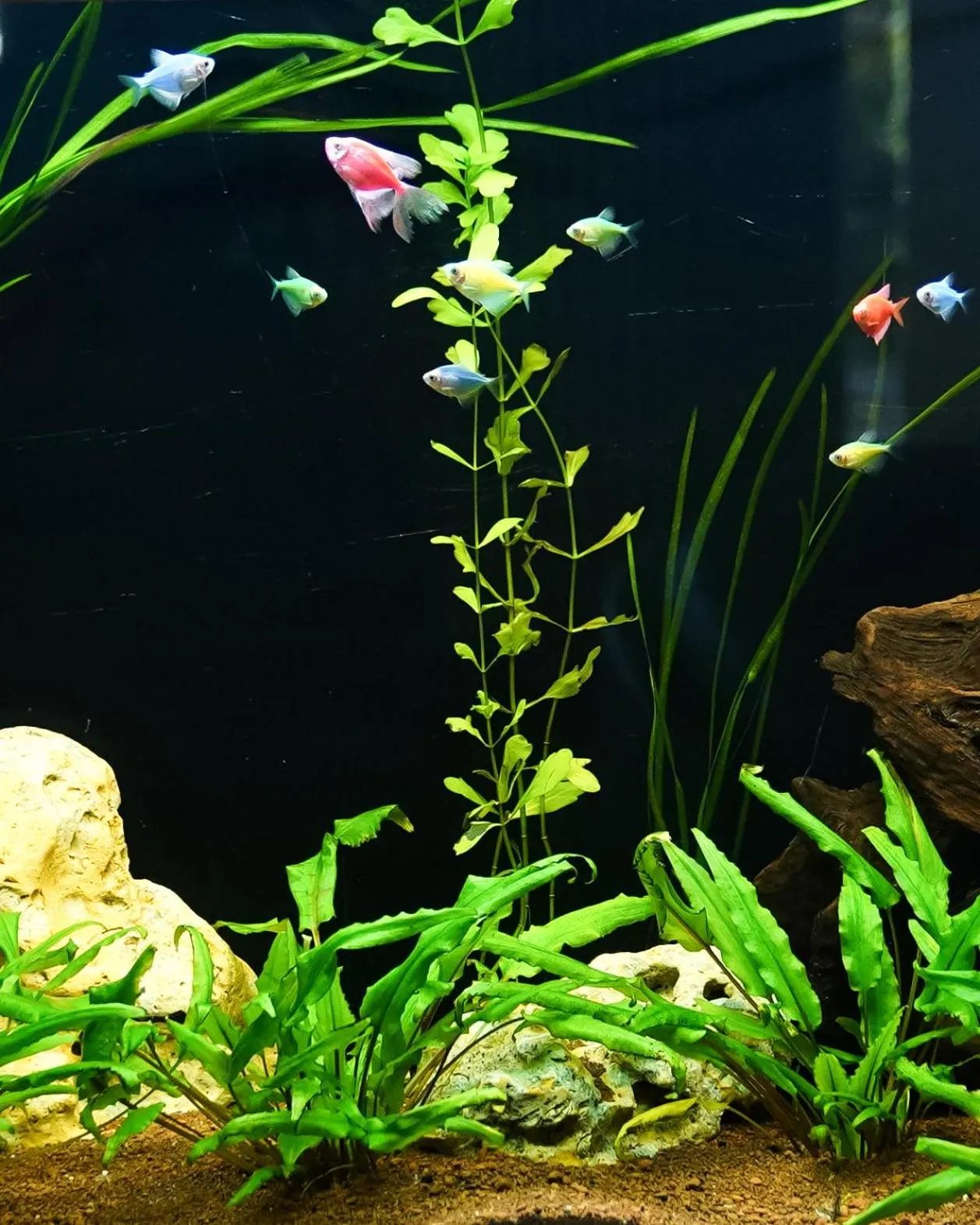 Location in Hotel Opal