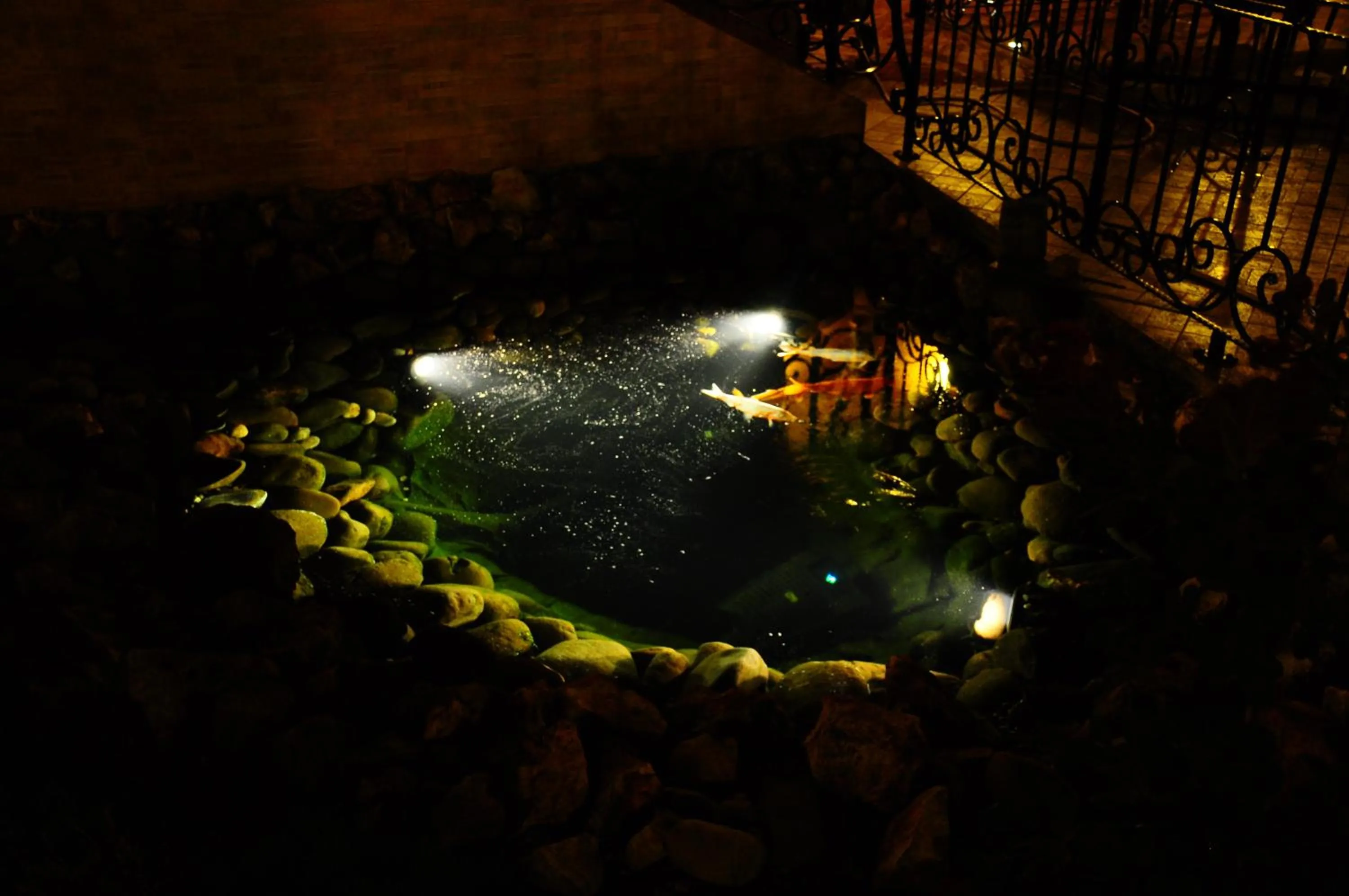 Balcony/Terrace in Pension La Fontana