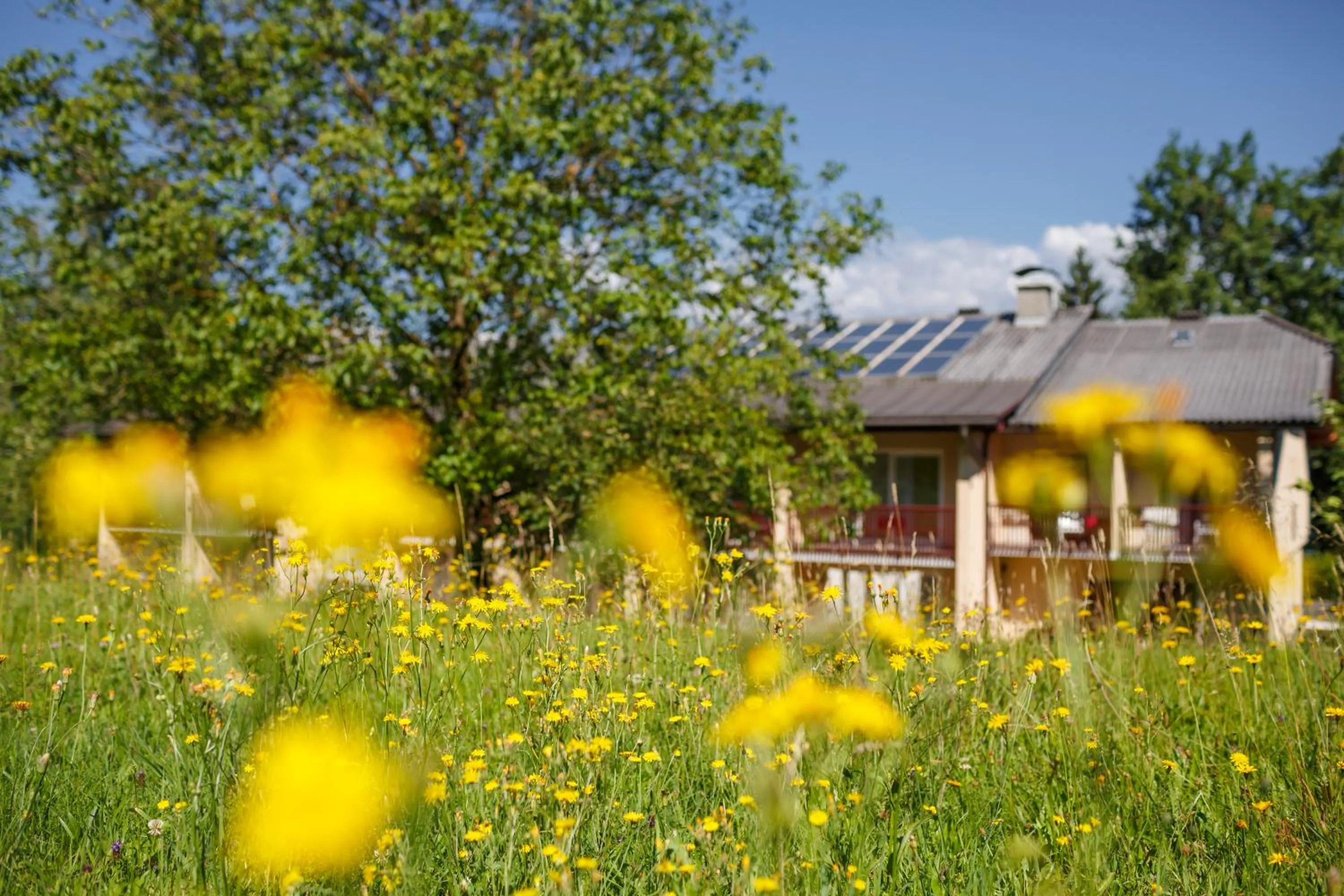 Garden in Seehotel Vinzenz