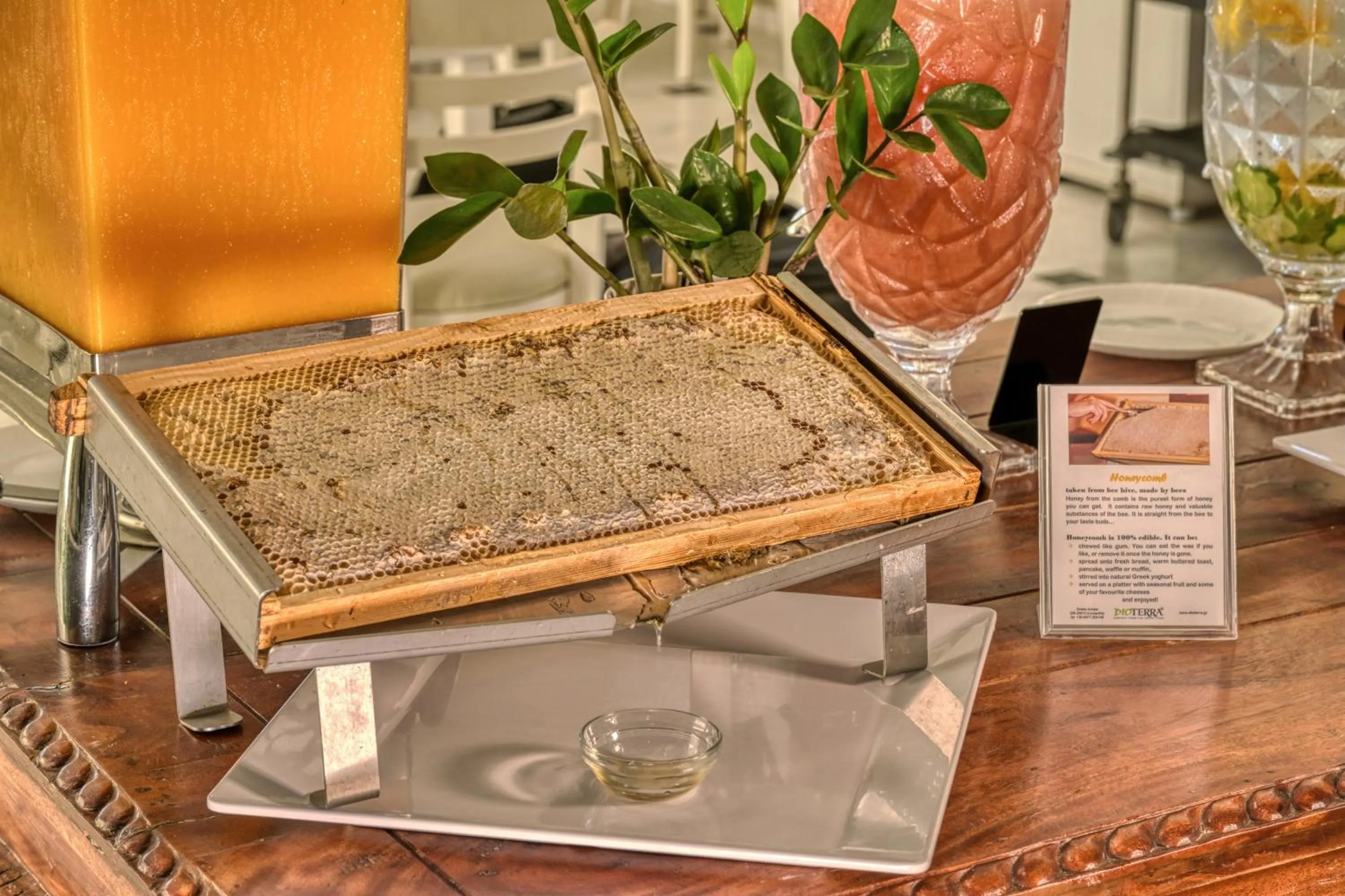 Splendour Hotel and Suites