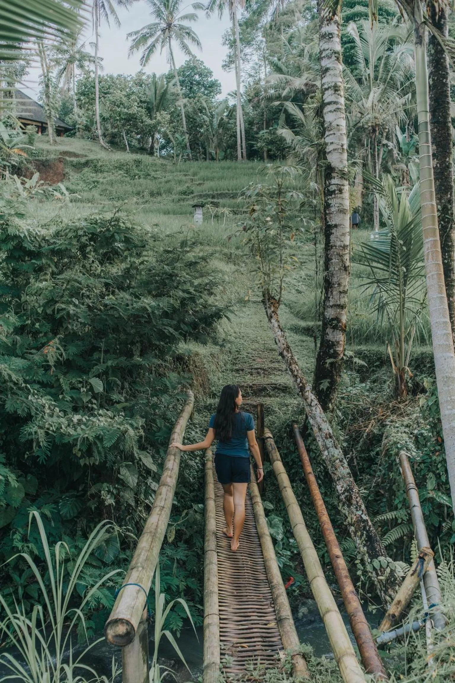 Activities in Saridevi Ecolodge