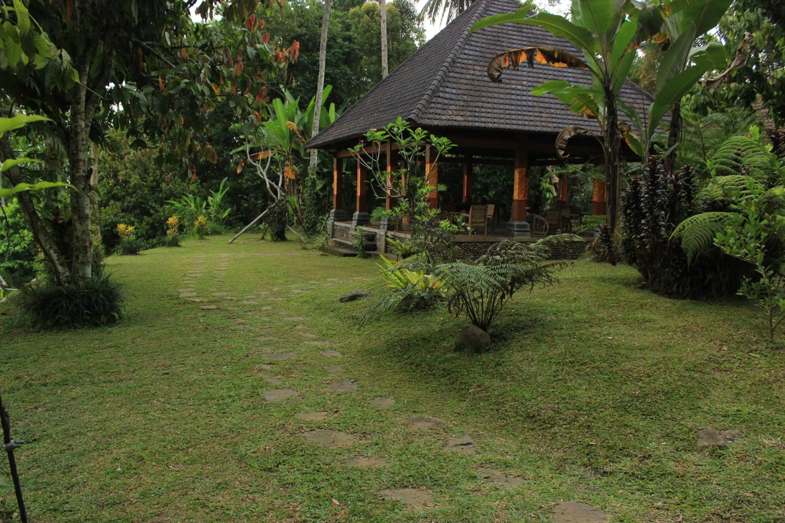 Natural landscape in Saridevi Ecolodge