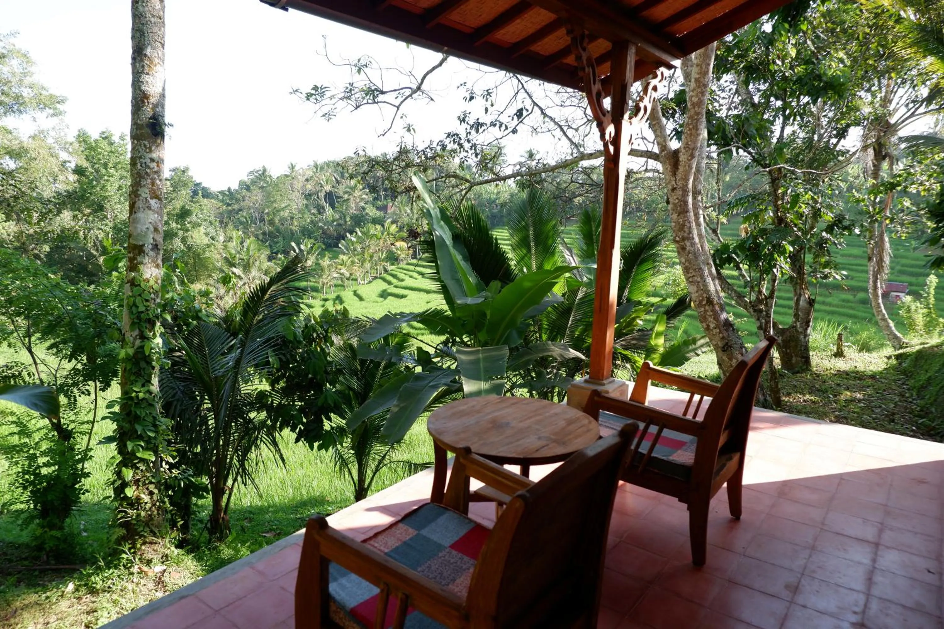 Balcony/Terrace in Saridevi Ecolodge