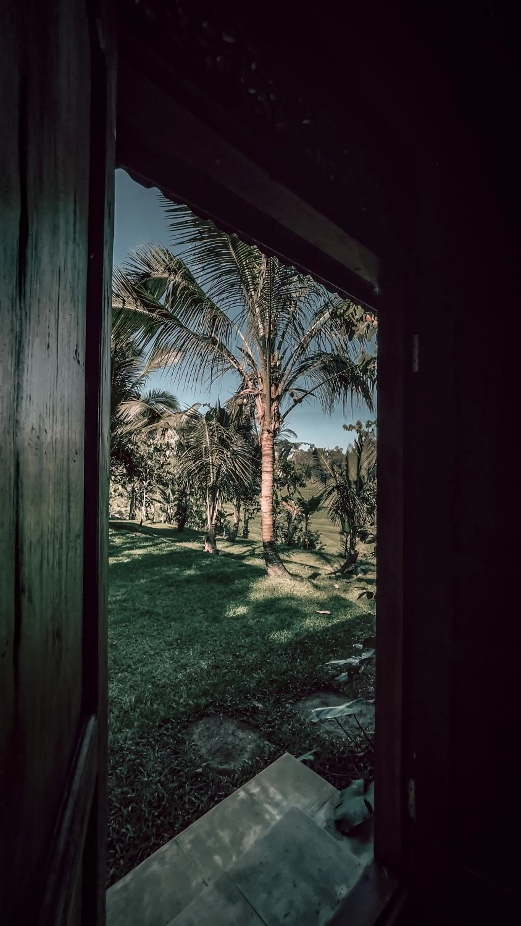Garden view in Saridevi Ecolodge