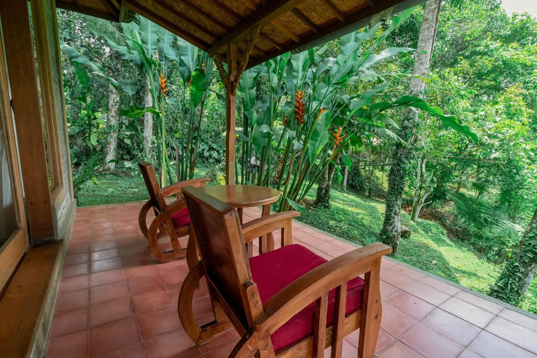 View (from property/room) in Saridevi Ecolodge
