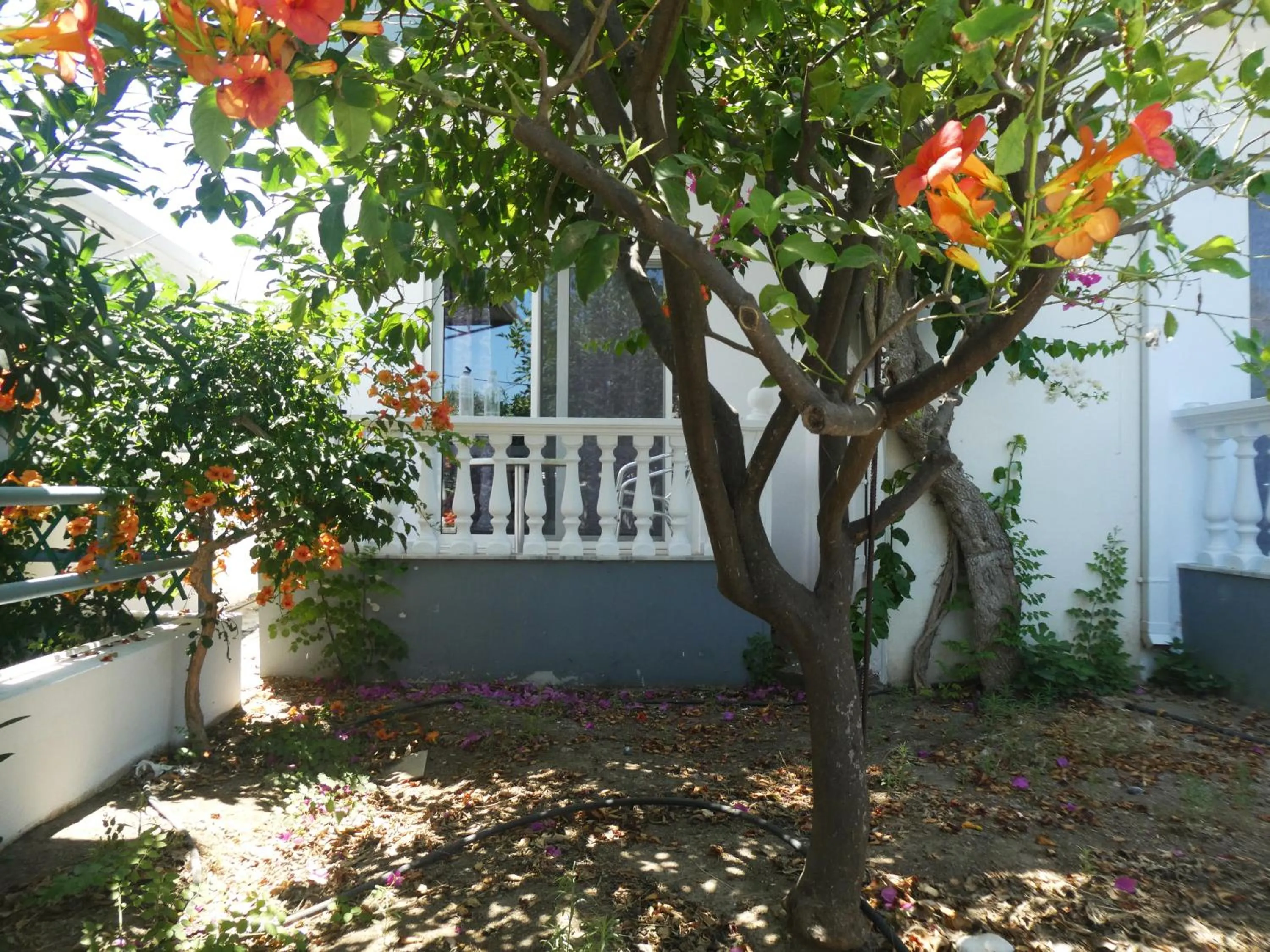 Garden in Castle View Apartments