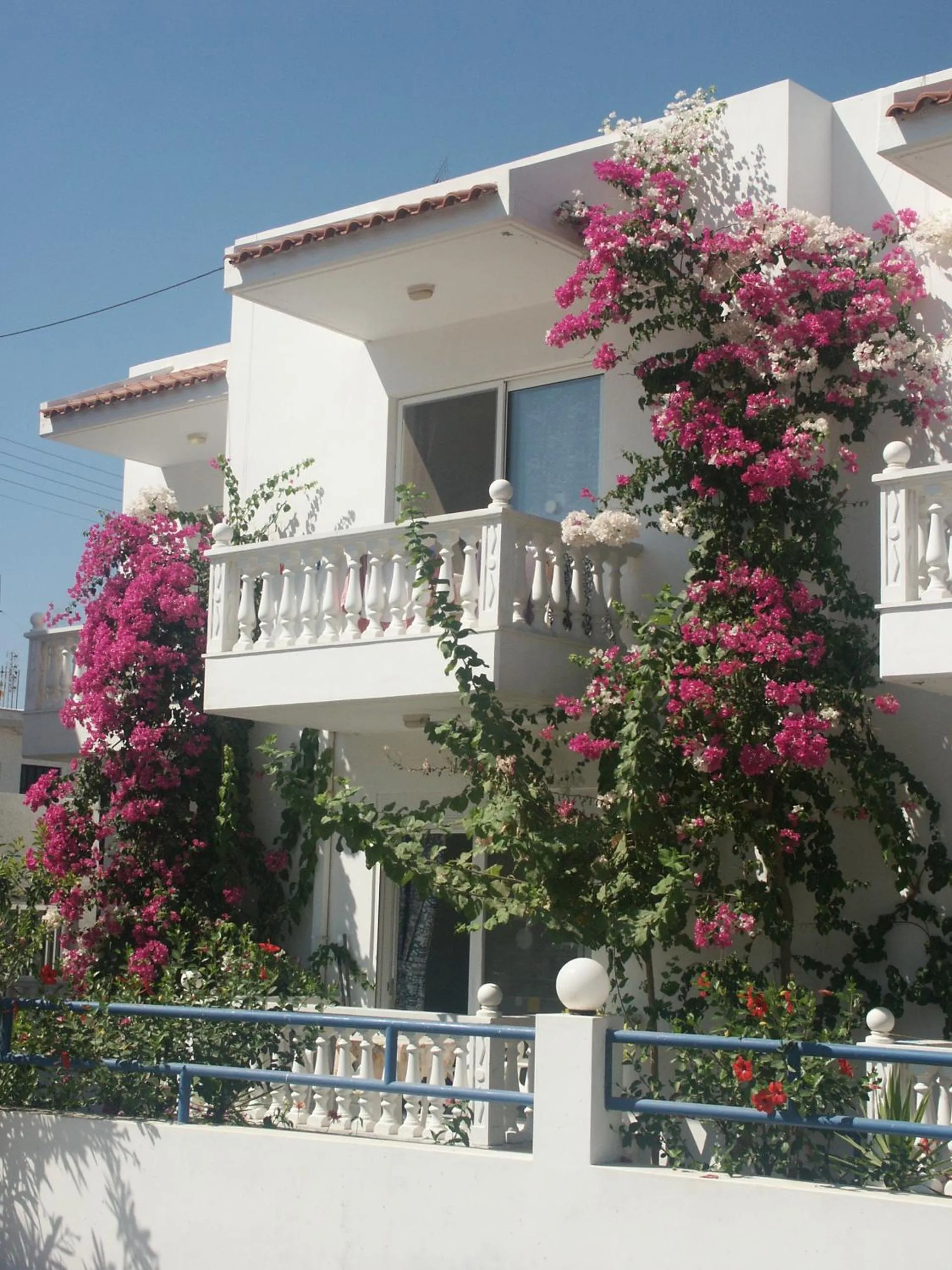 Garden in Castle View Apartments