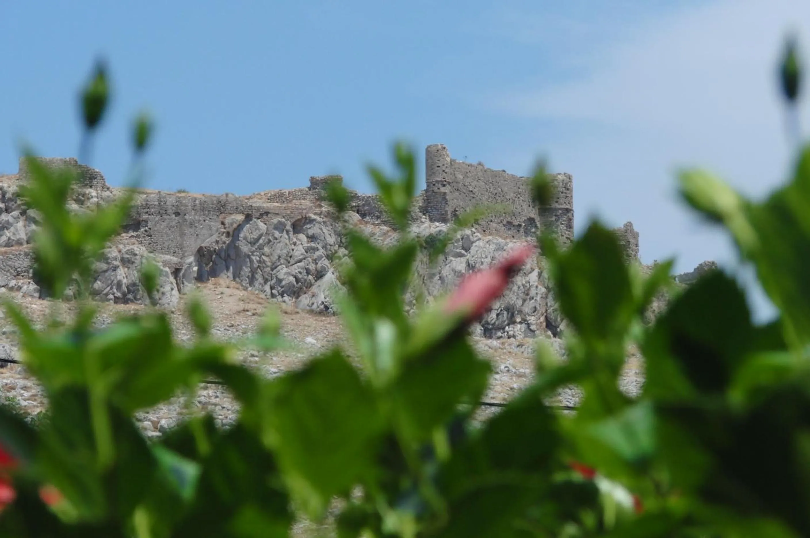 Natural landscape in Castle View Apartments