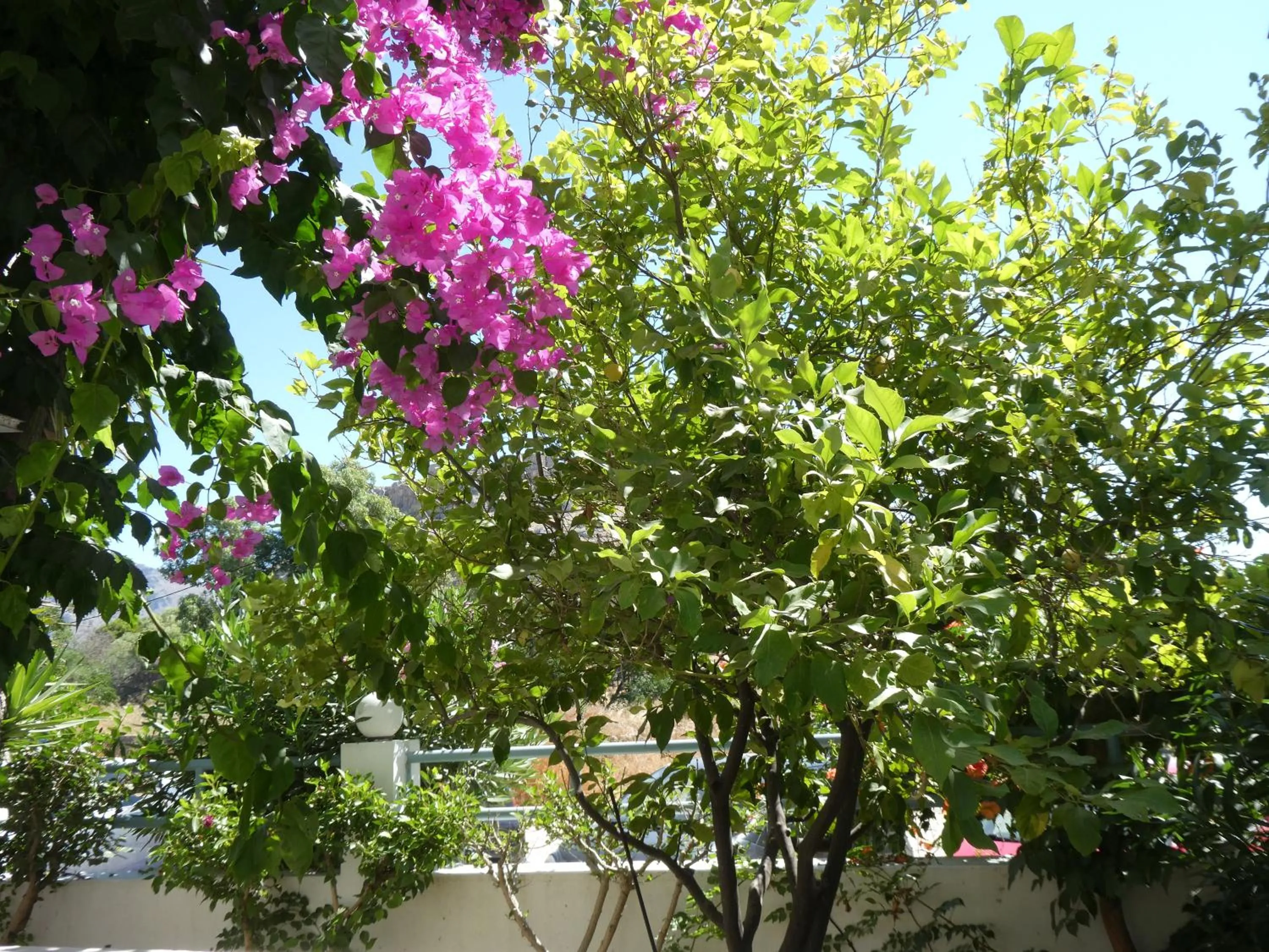 Balcony/Terrace in Castle View Apartments