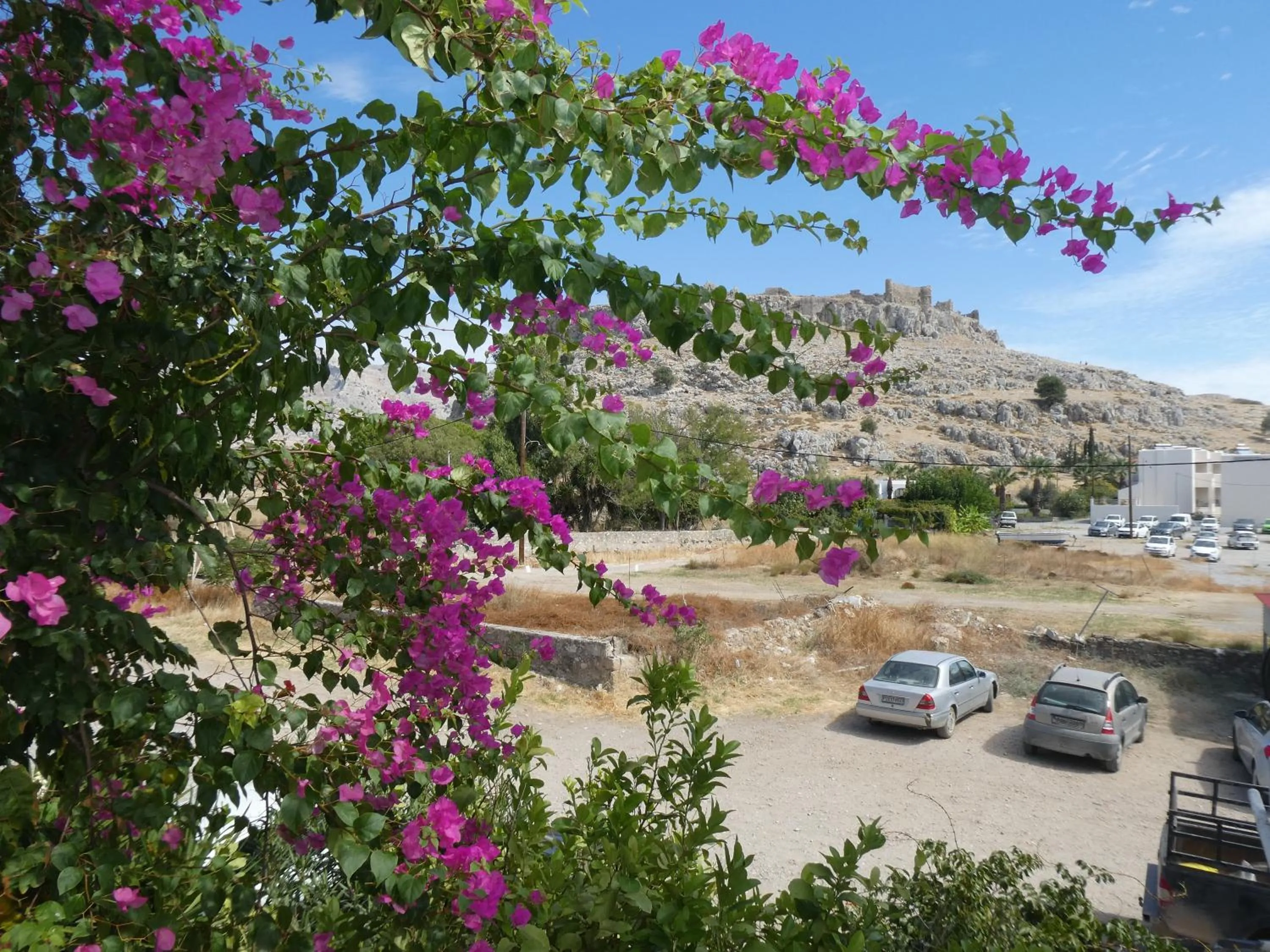 Natural landscape in Castle View Apartments