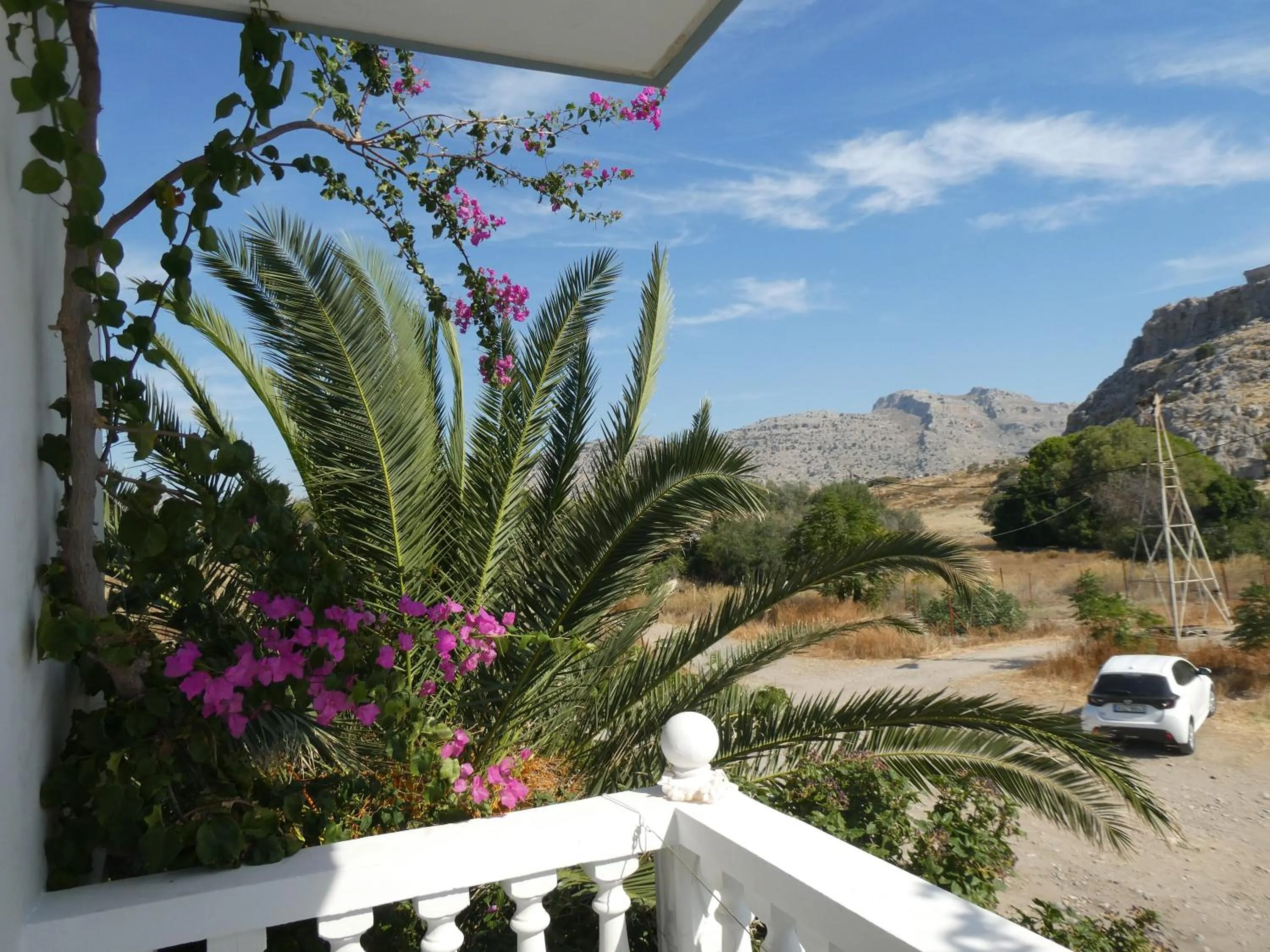 Natural landscape in Castle View Apartments
