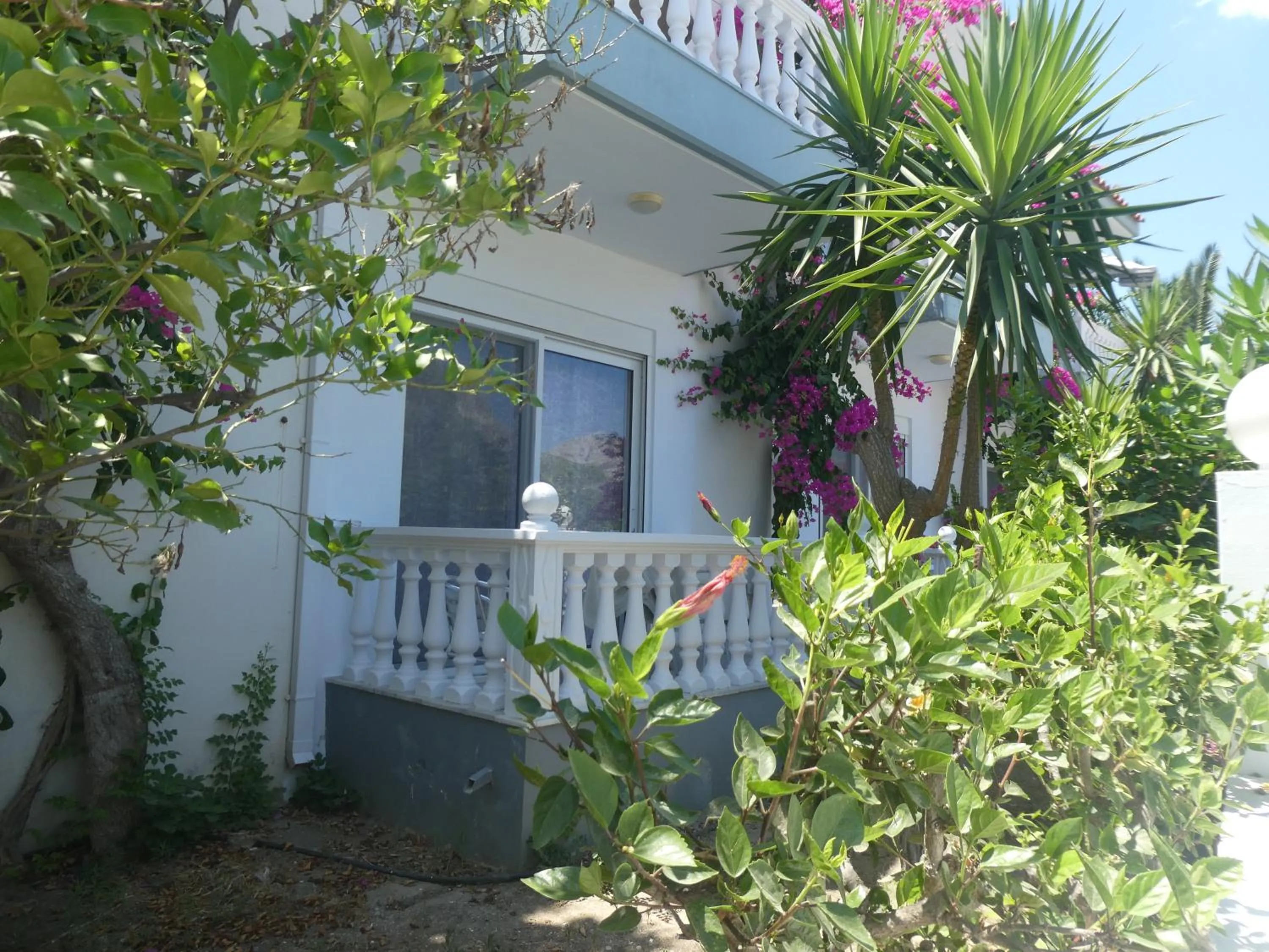 Property building in Castle View Apartments