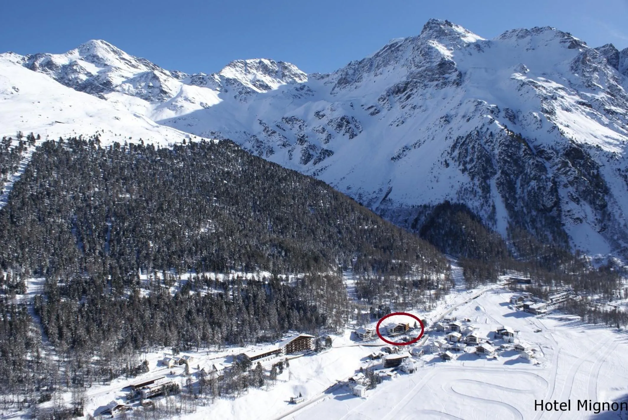 Natural landscape in Hotel Mignon