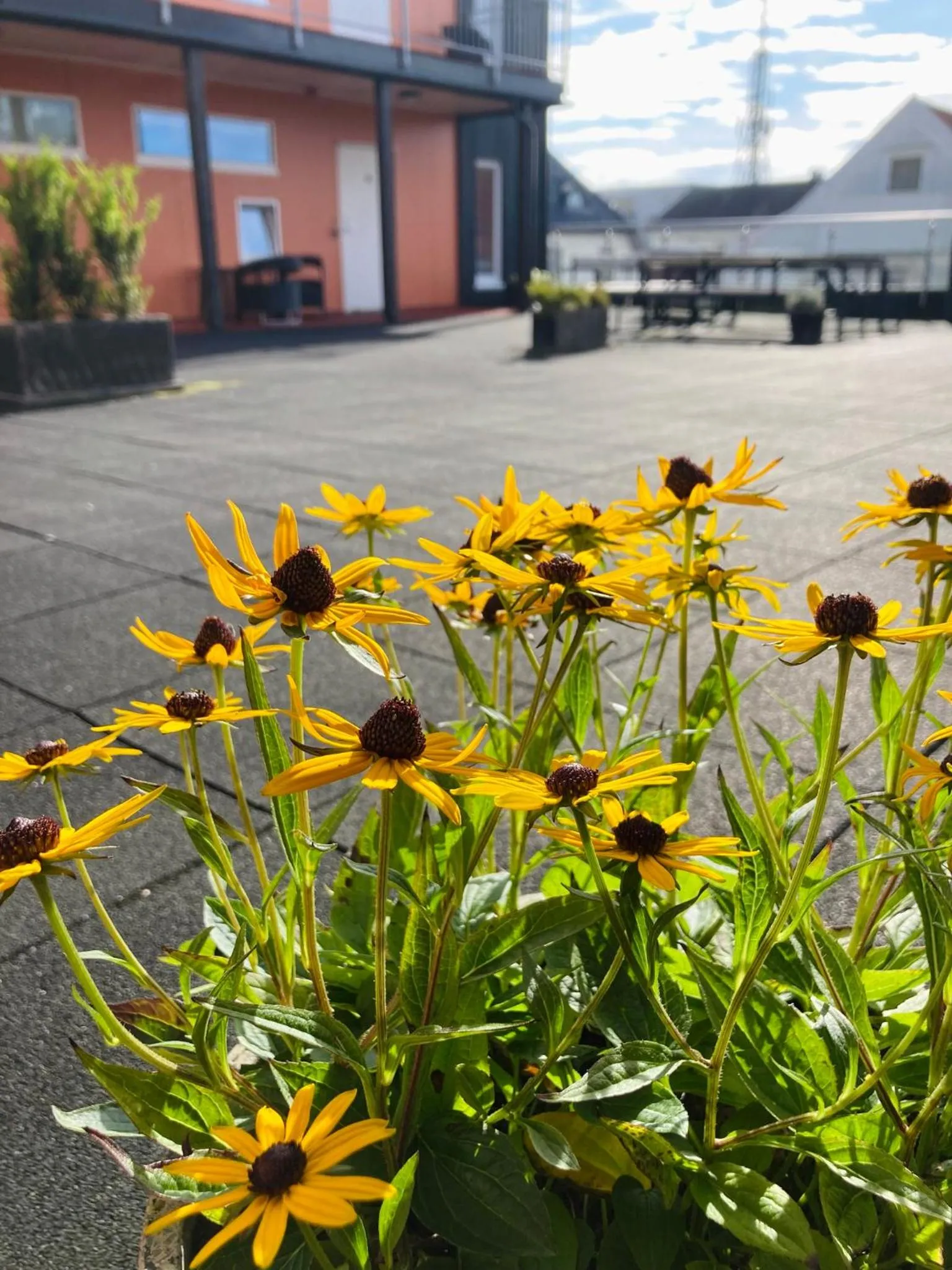 Flotmyrgården Apartment Hotel