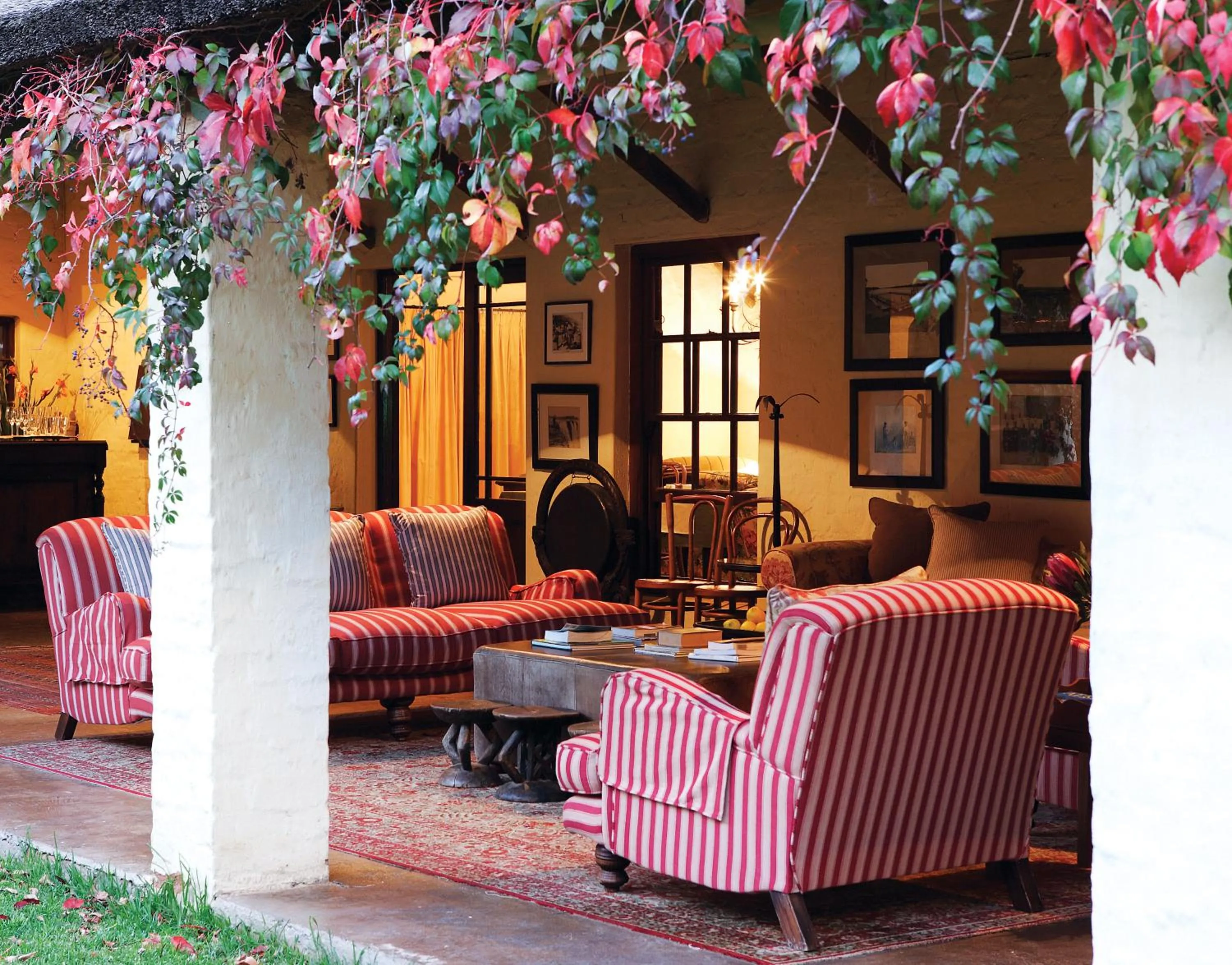 Balcony/Terrace in Elephant House