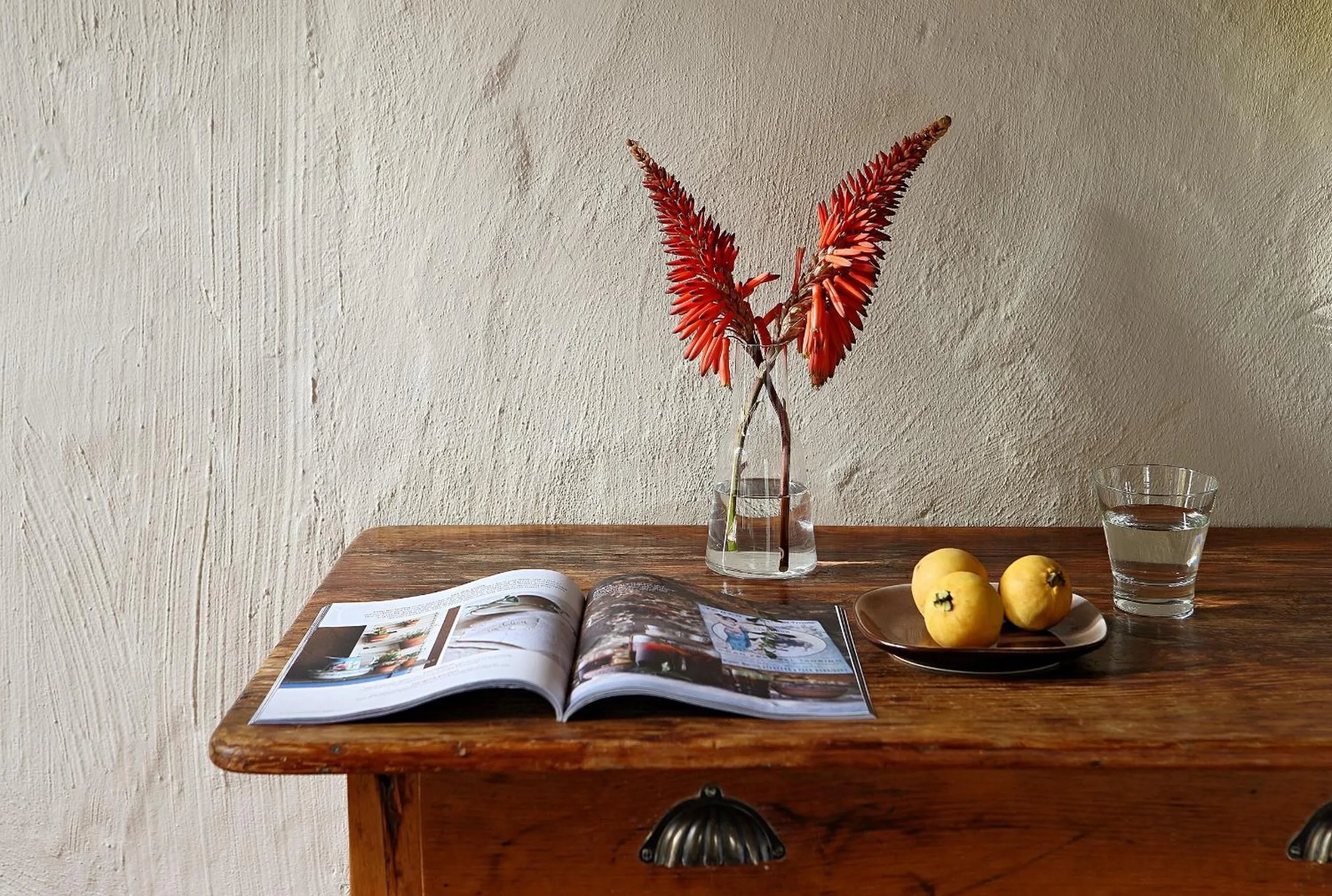 Other in Elephant House