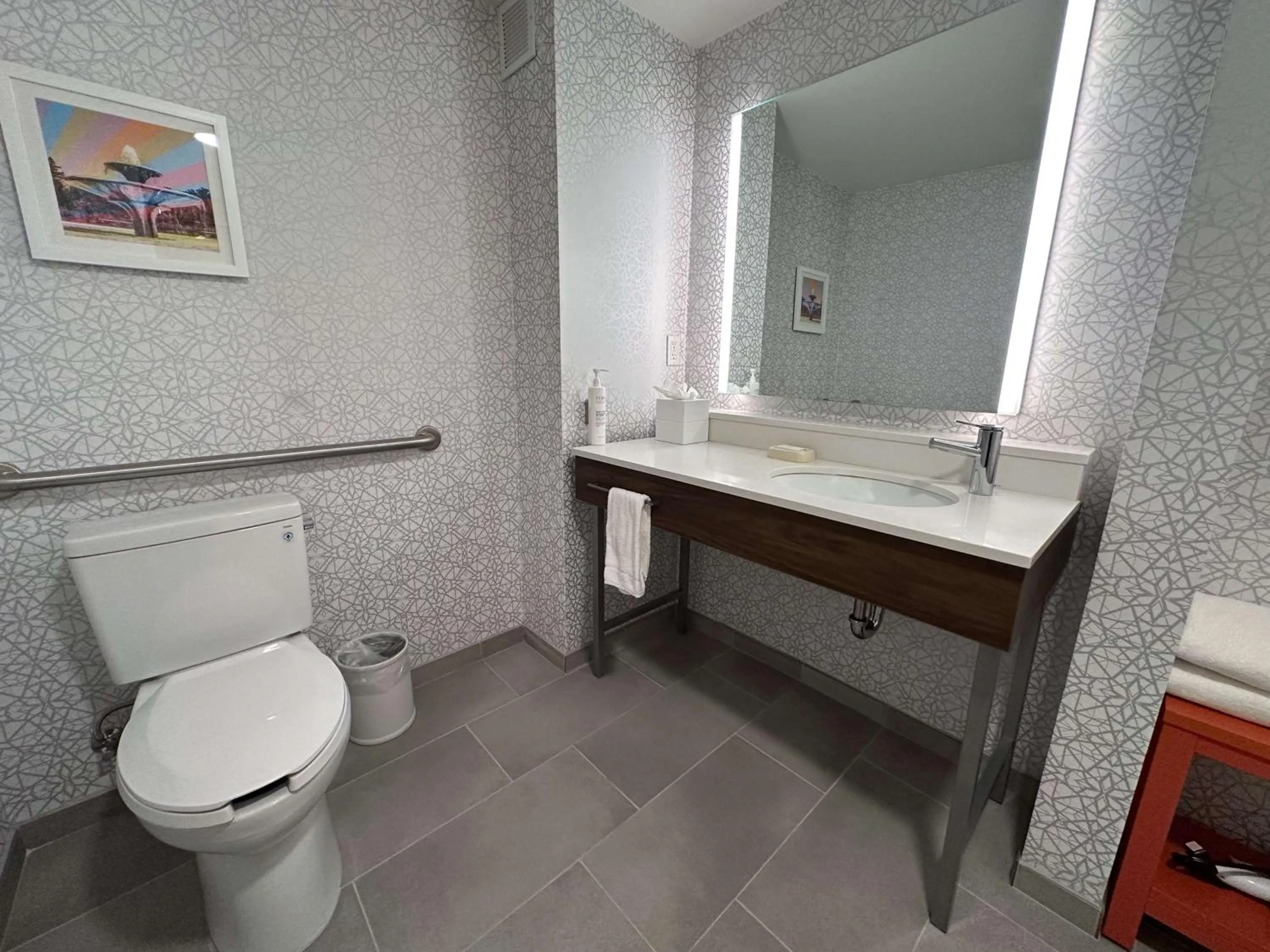 Bathroom in Hampton Inn Fremont