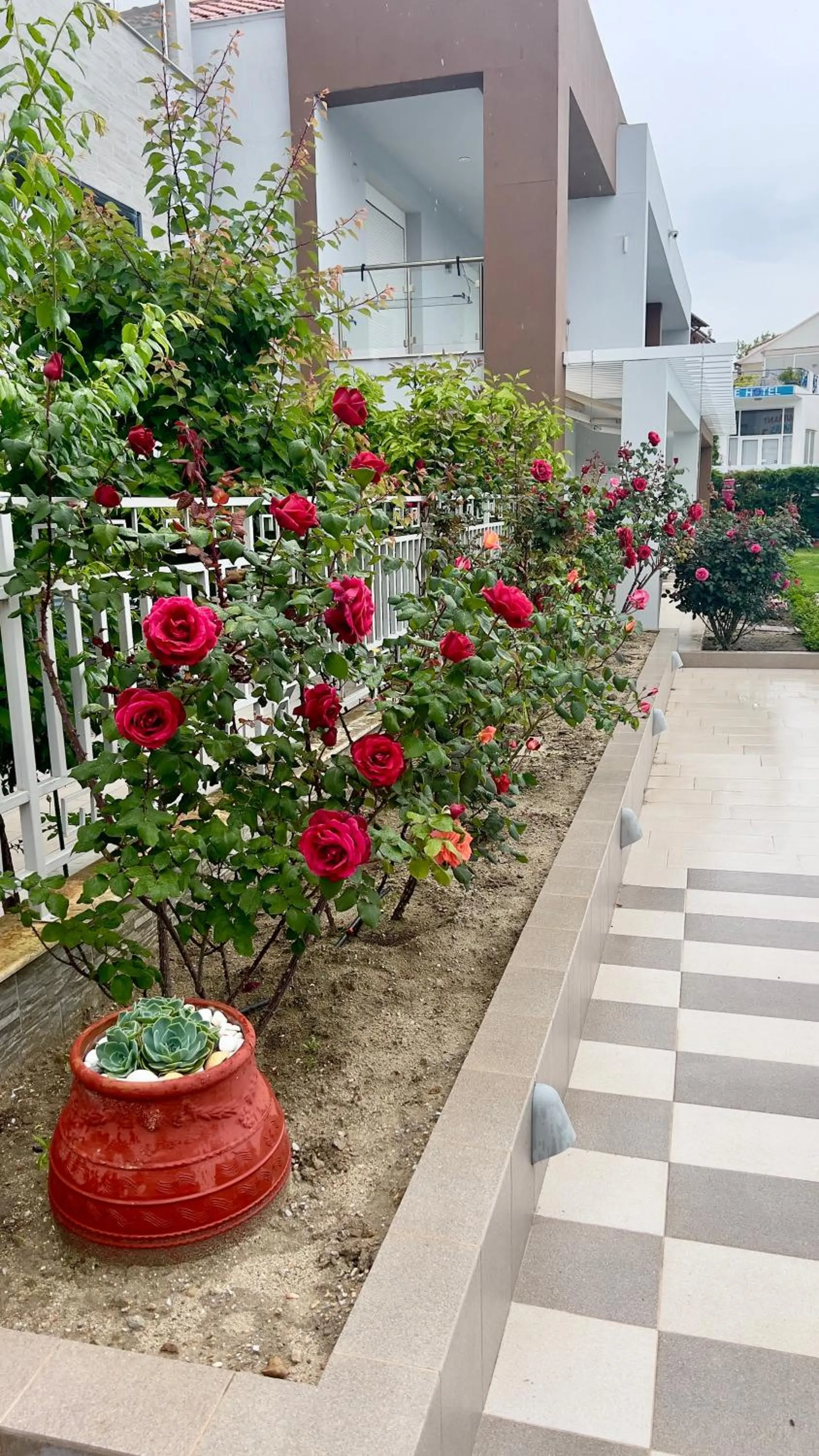 Garden in EllinFos Apartments