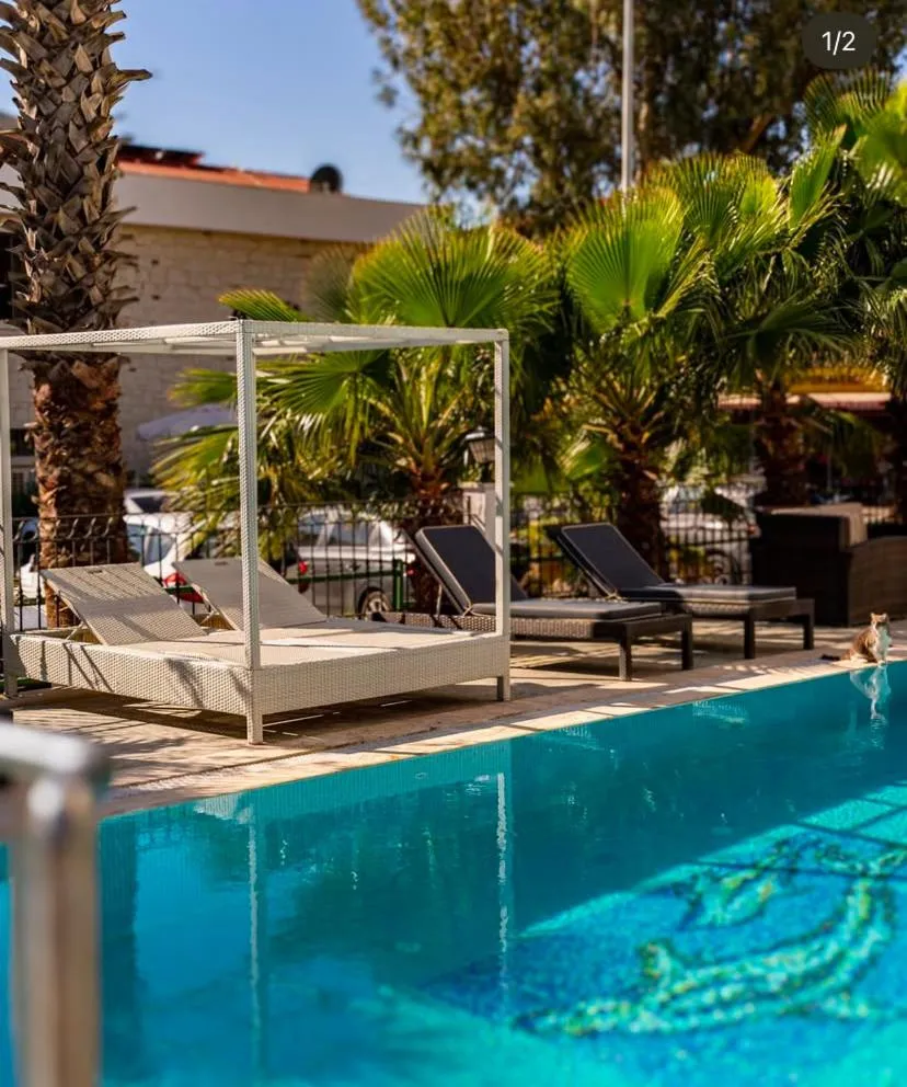 Pool view in Aurasia Sea Side Hotel