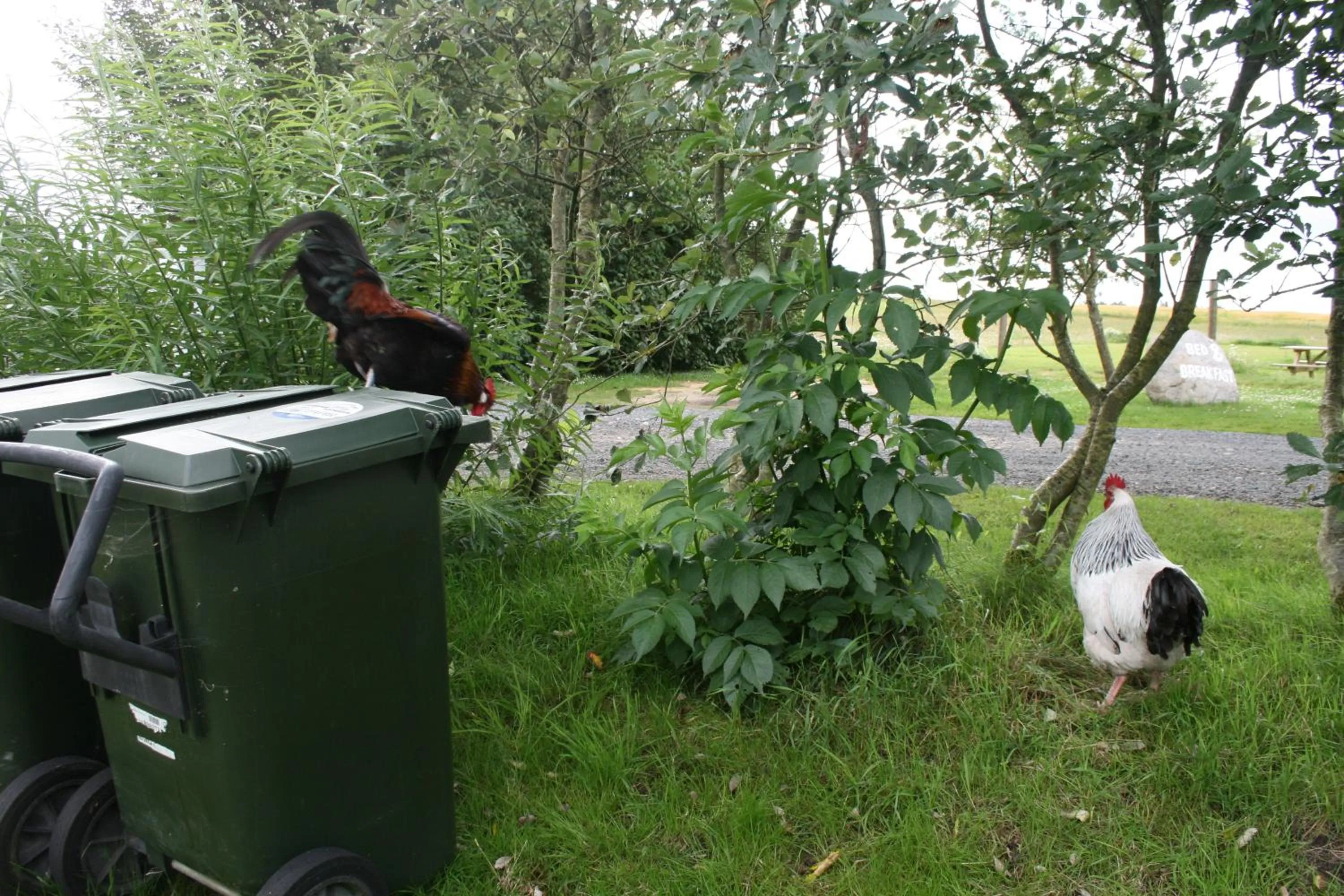 Other in Sov Godt i Arnborg Bed & Breakfast