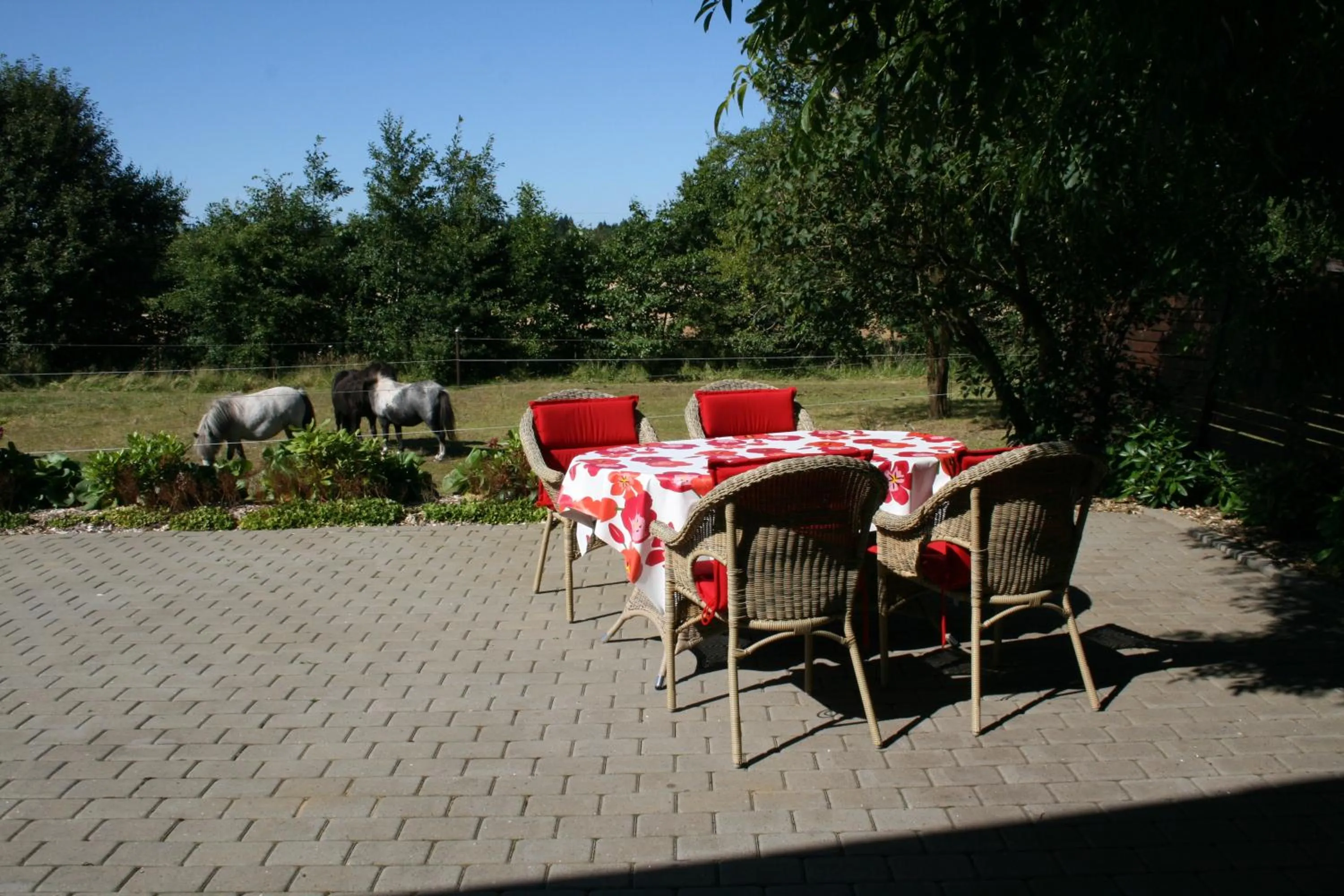 Balcony/Terrace in Sov Godt i Arnborg Bed & Breakfast
