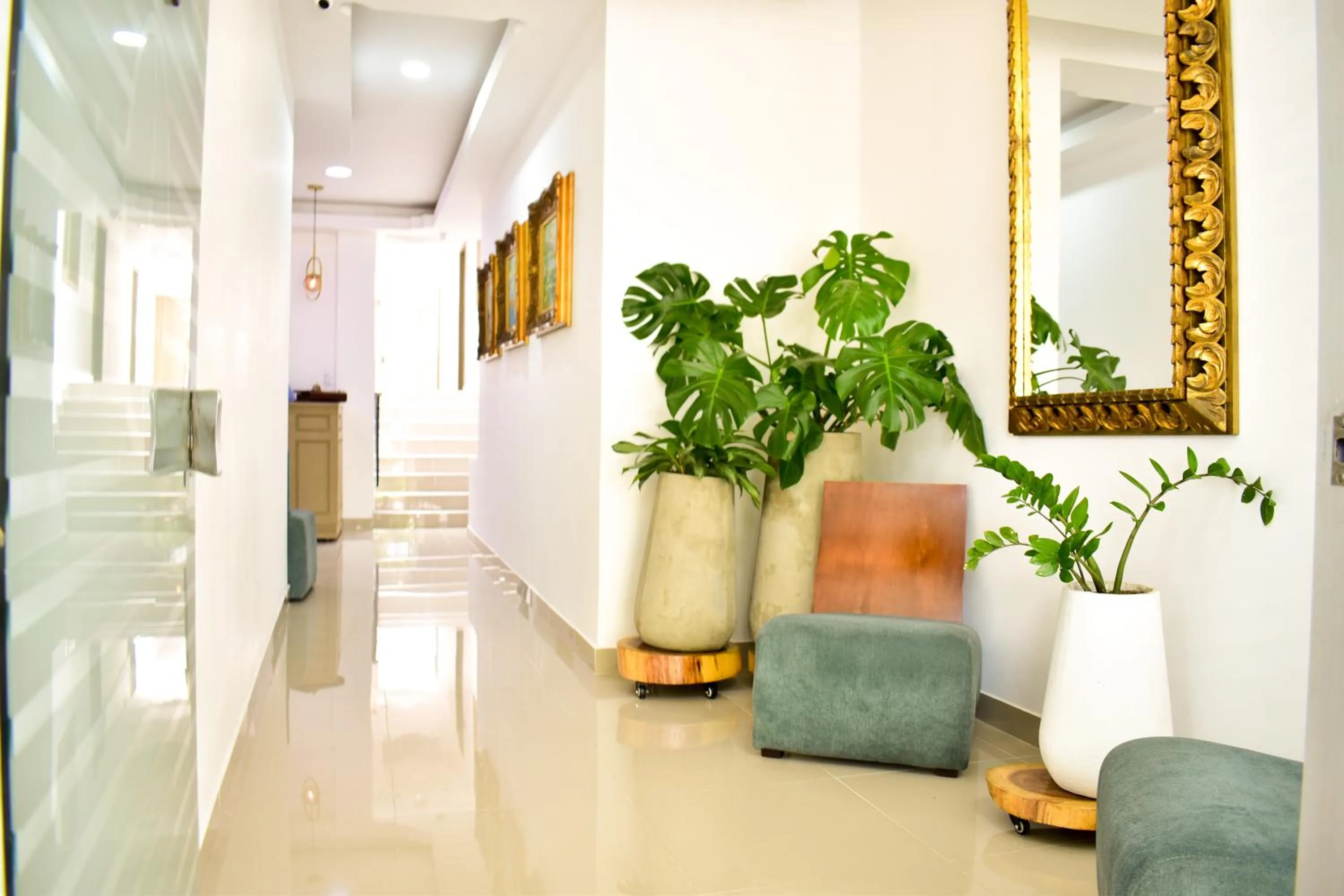 Hotel Cafe Cafe Avenida