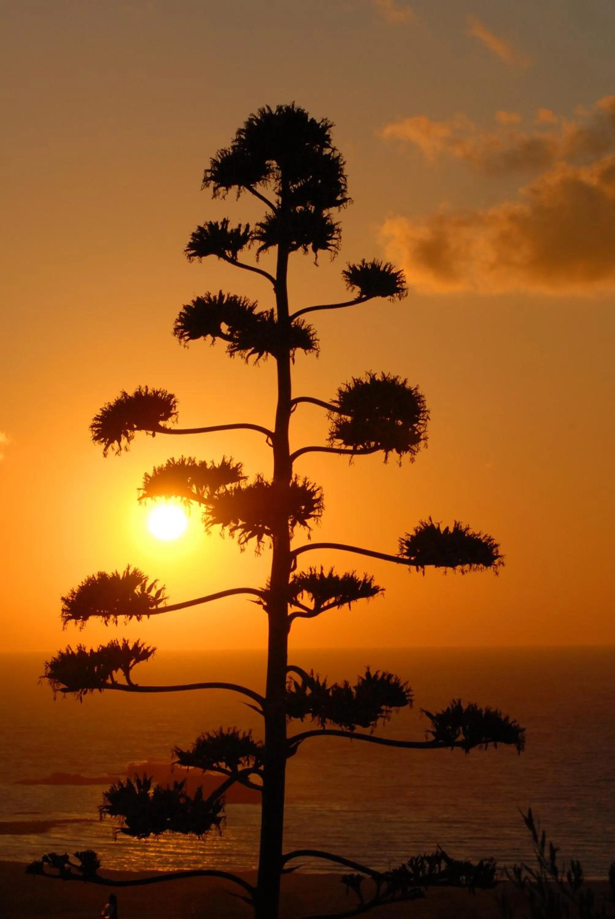 Sea view in The Stonemade Houses