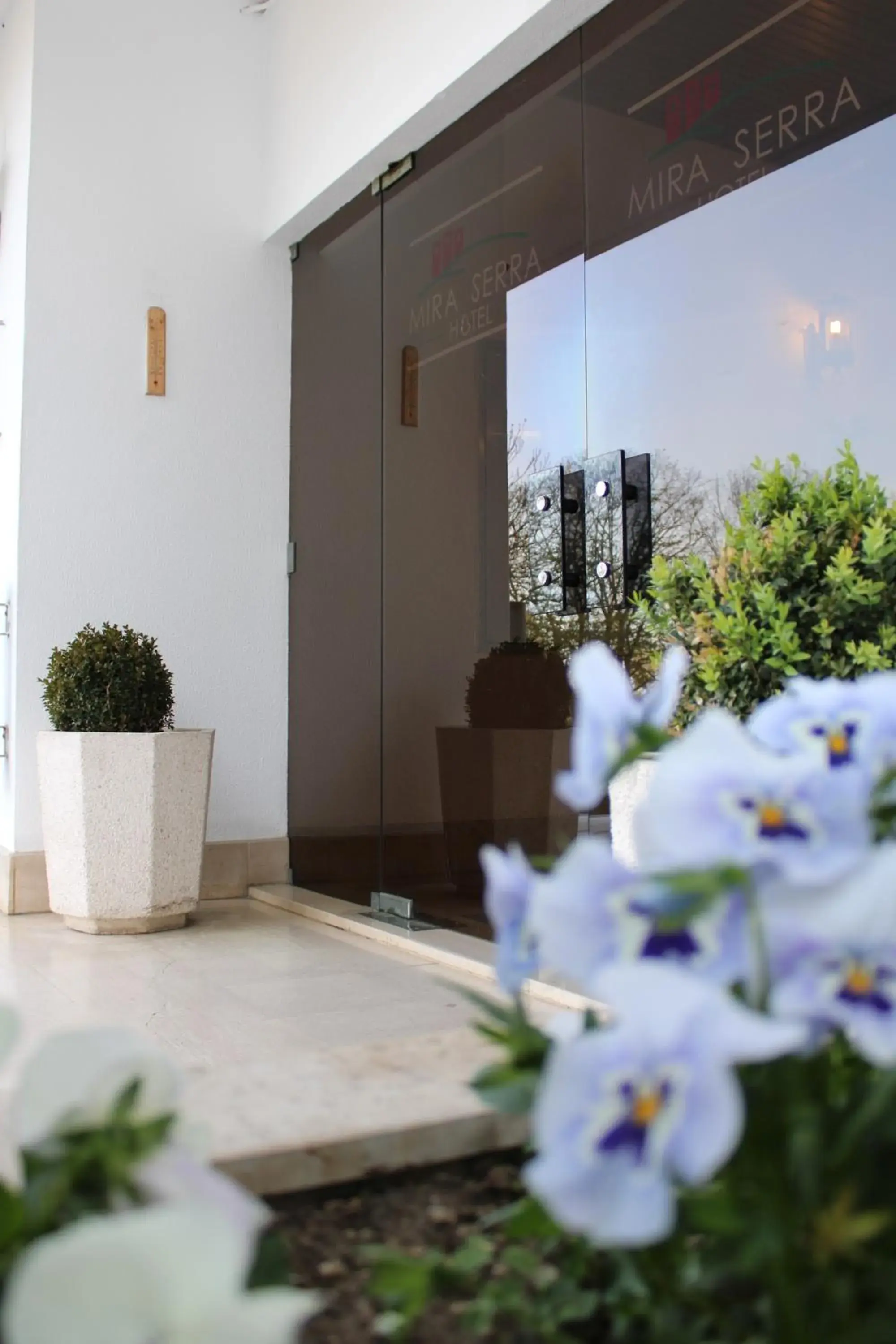 Lavanda Hotel Mira Serra Lavanda Hotel Mira Serra