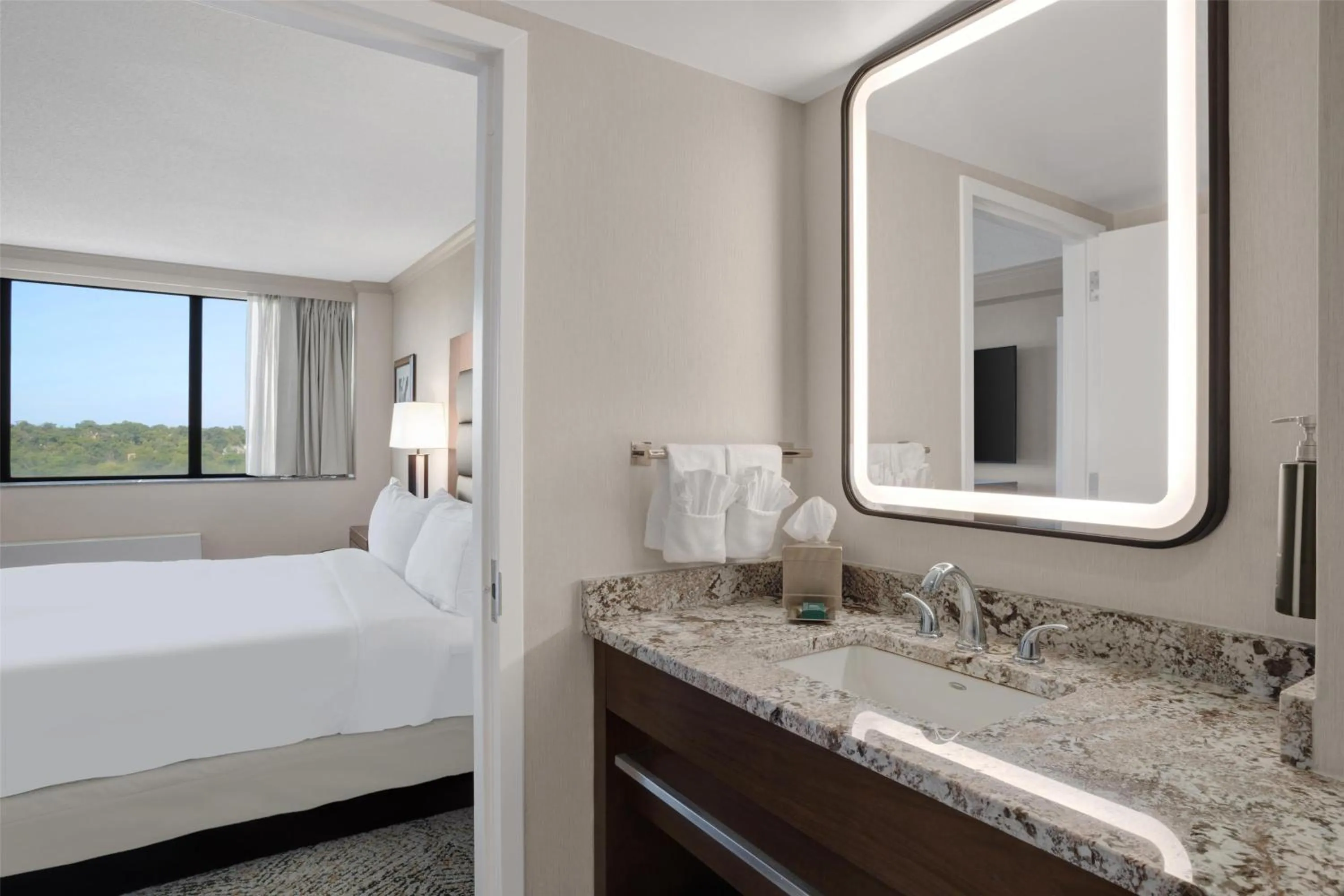 Bathroom, Bed in Hilton Arlington National Landing