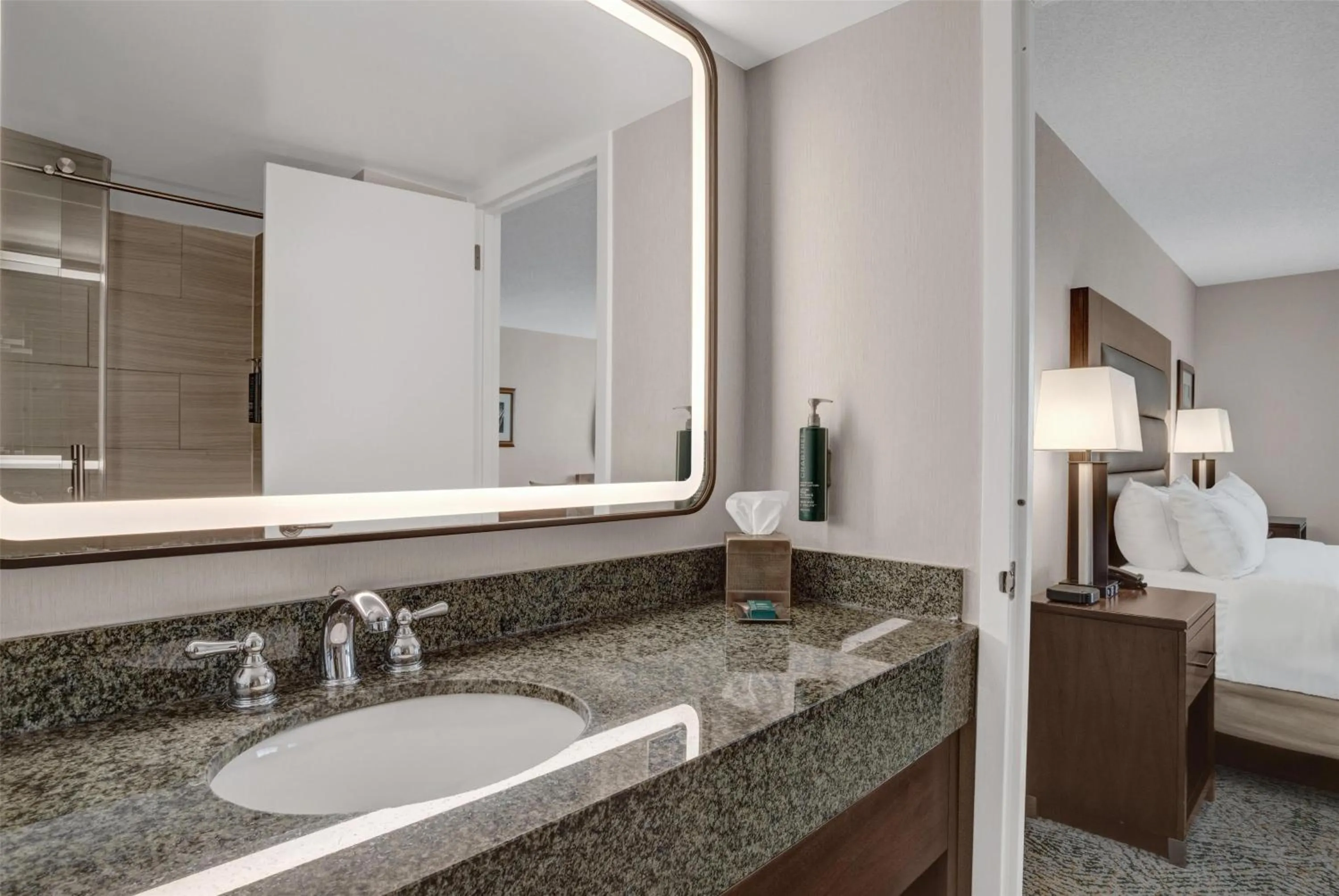 Bathroom, Bed in Hilton Arlington National Landing