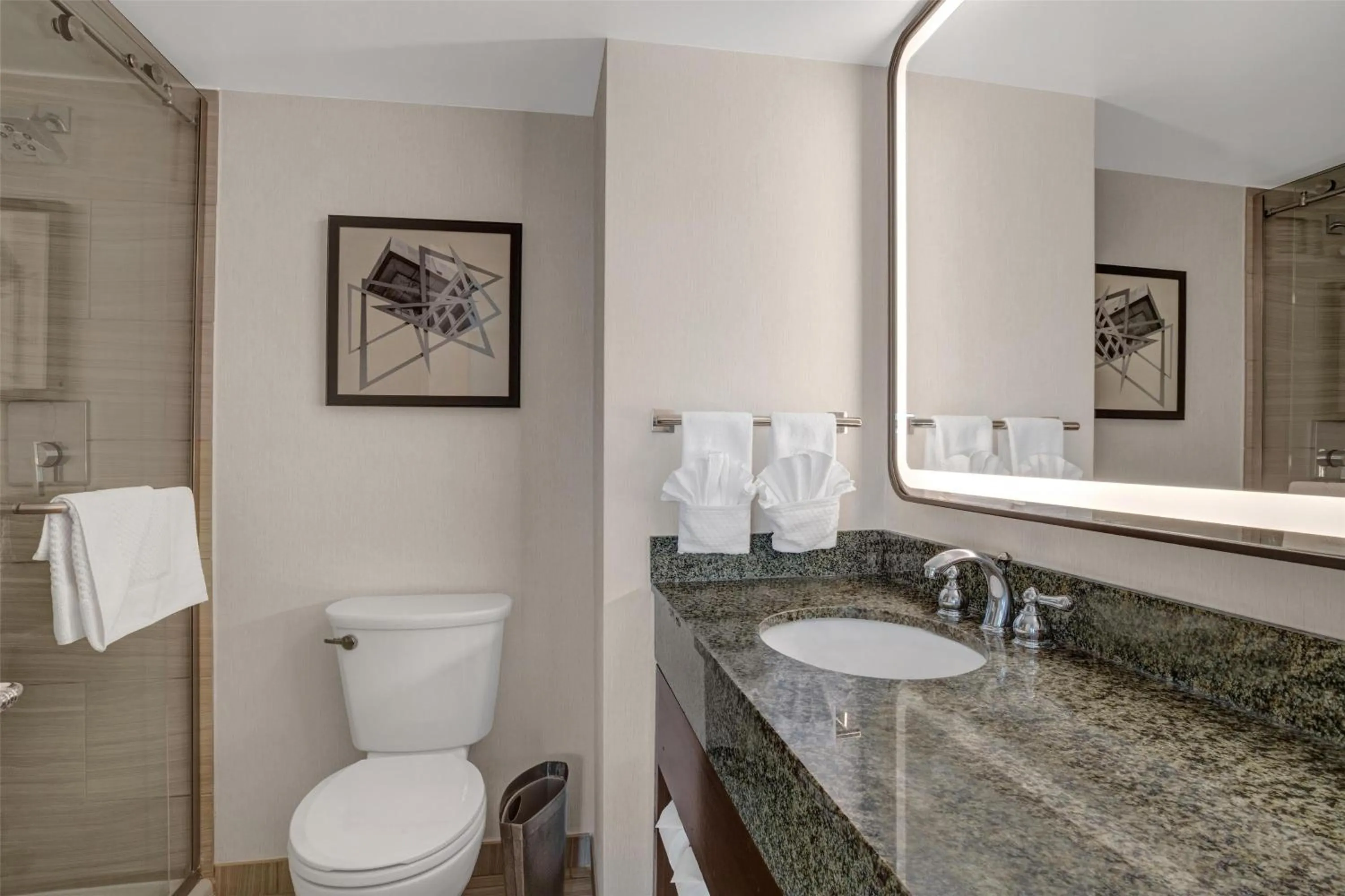 Bathroom in Hilton Arlington National Landing