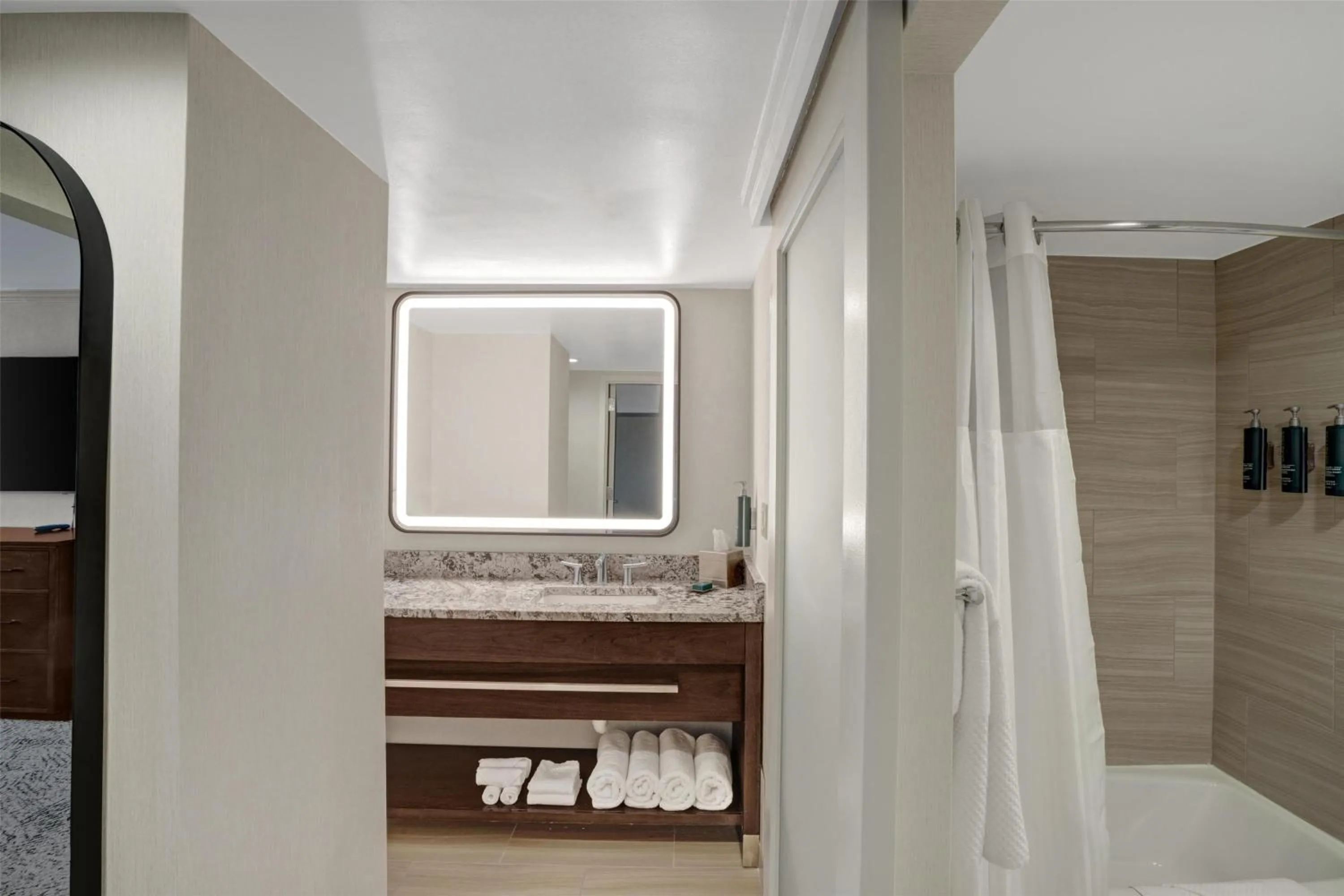 Bathroom in Hilton Arlington National Landing