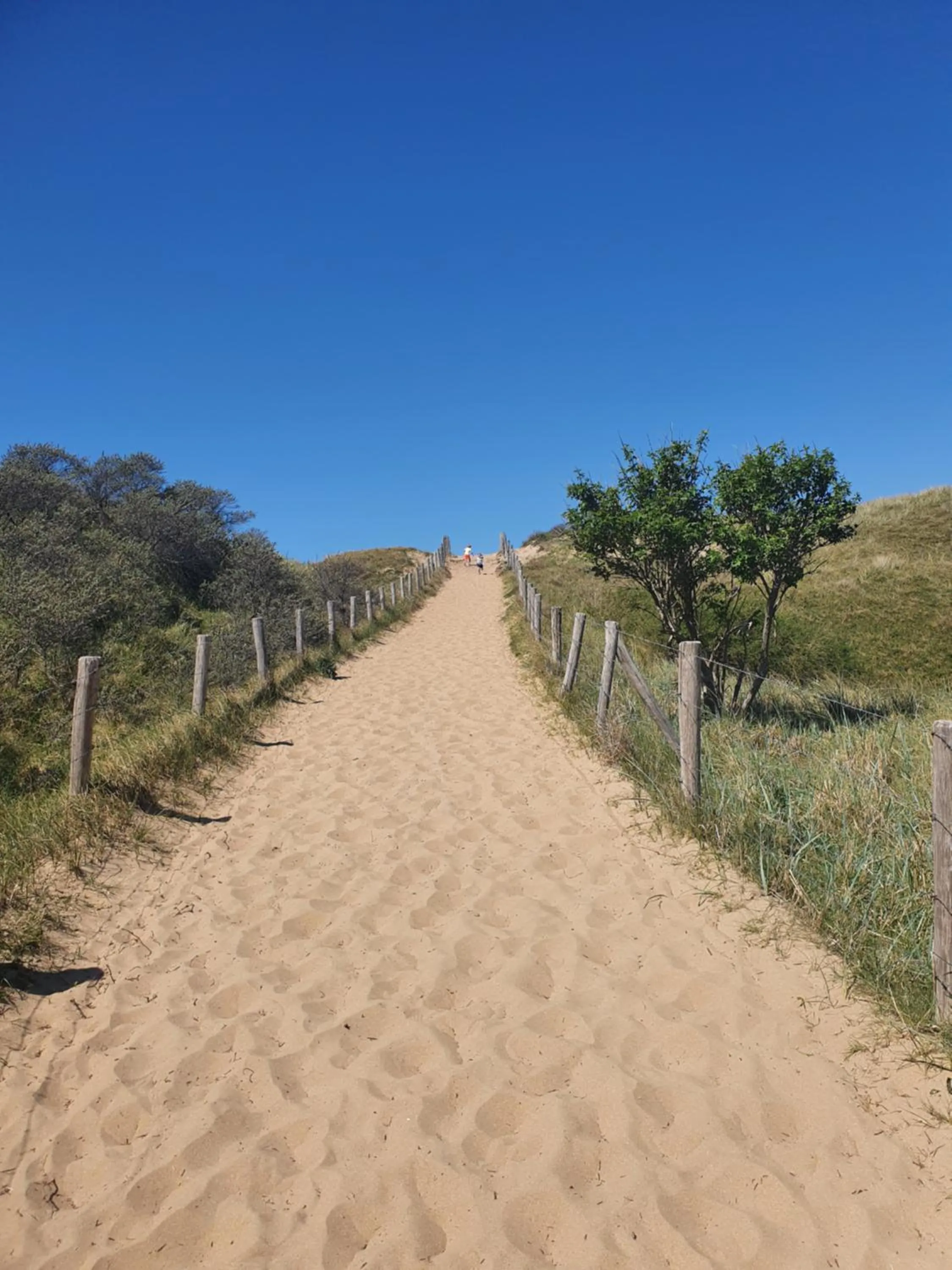 Hotel Bleecker by BHC