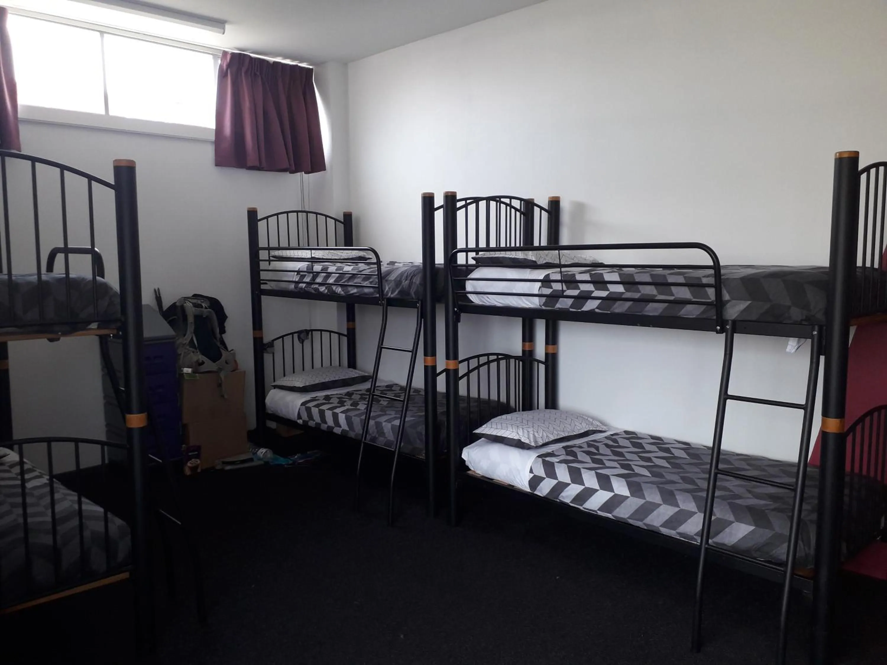 bunk bed, Bed in YHA Nelson