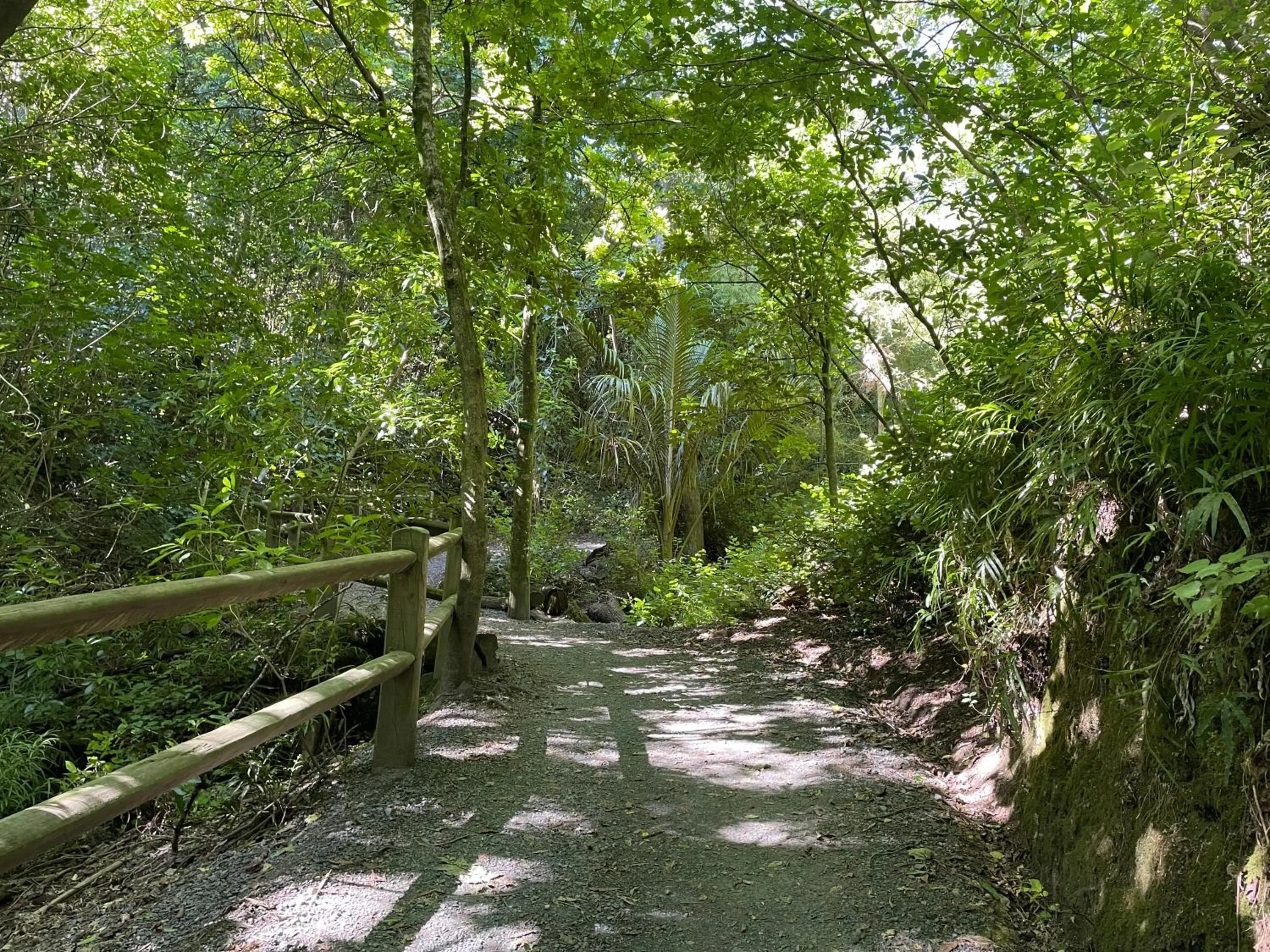 Natural landscape in YHA Nelson