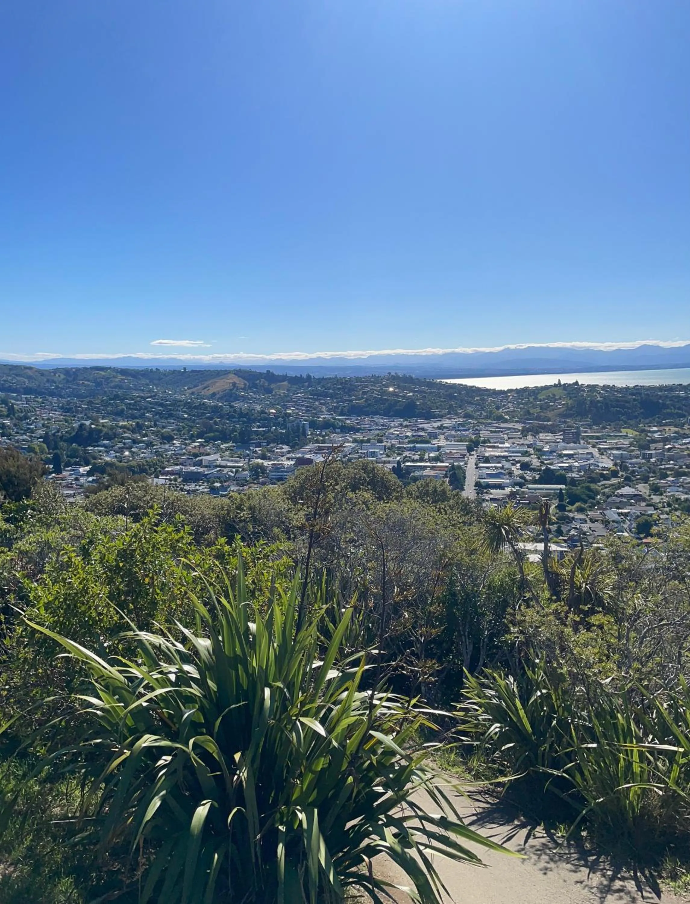Nearby landmark in YHA Nelson