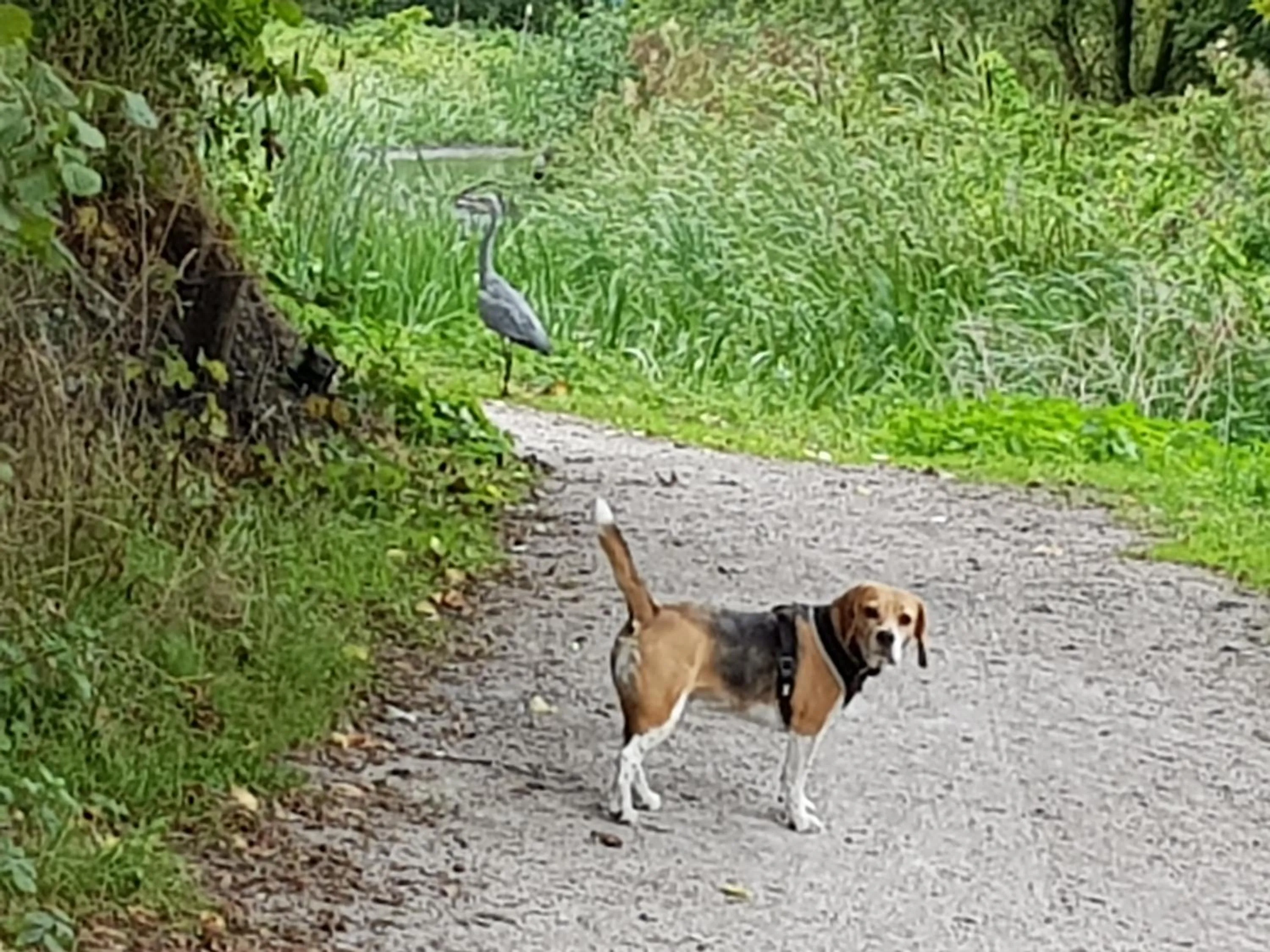 Activities in Chatterley House