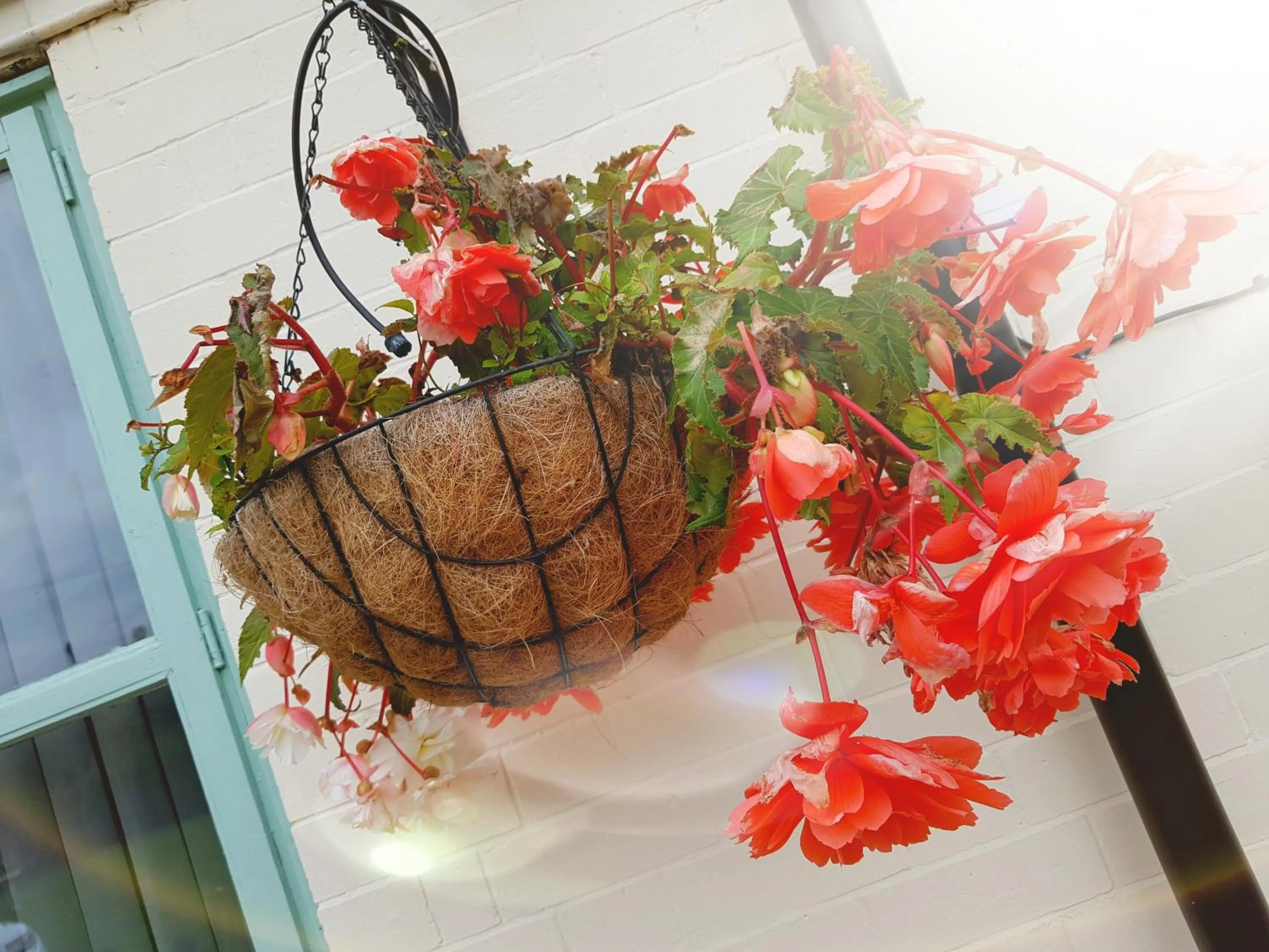 On site in Chatterley House