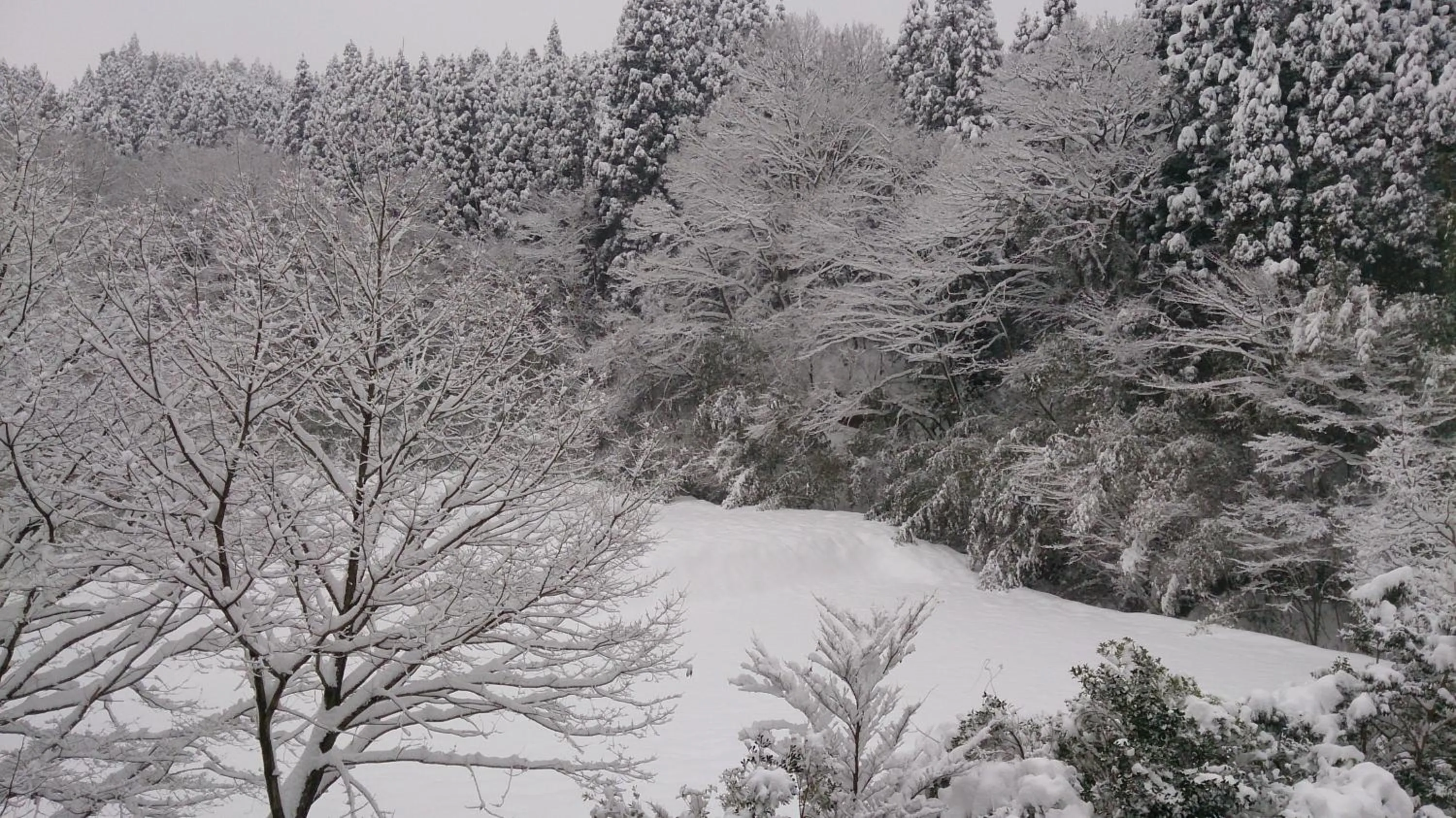 Winter in Kurokawa Onsen Ryokan Ichinoi
