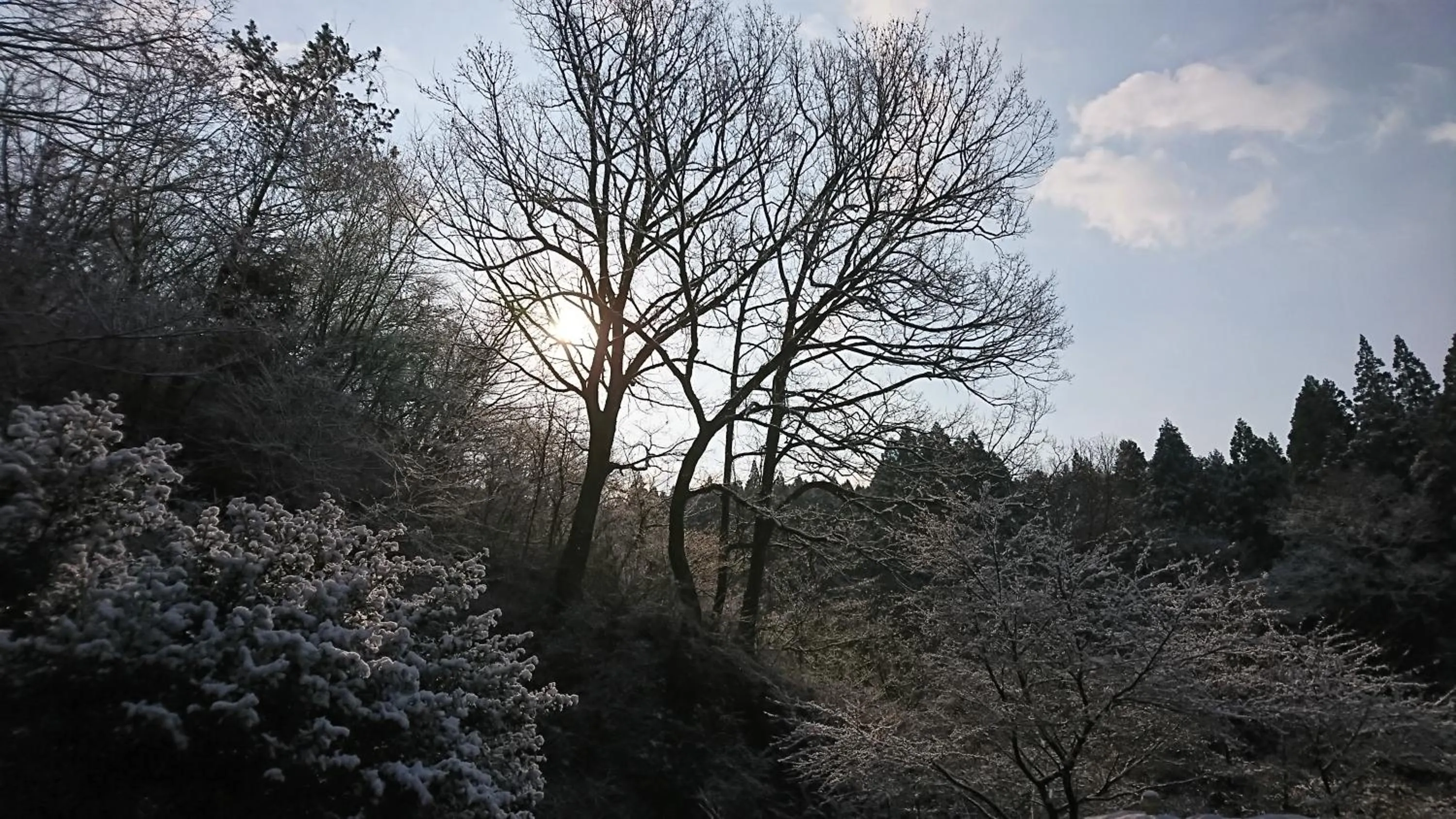 Natural landscape in Kurokawa Onsen Ryokan Ichinoi
