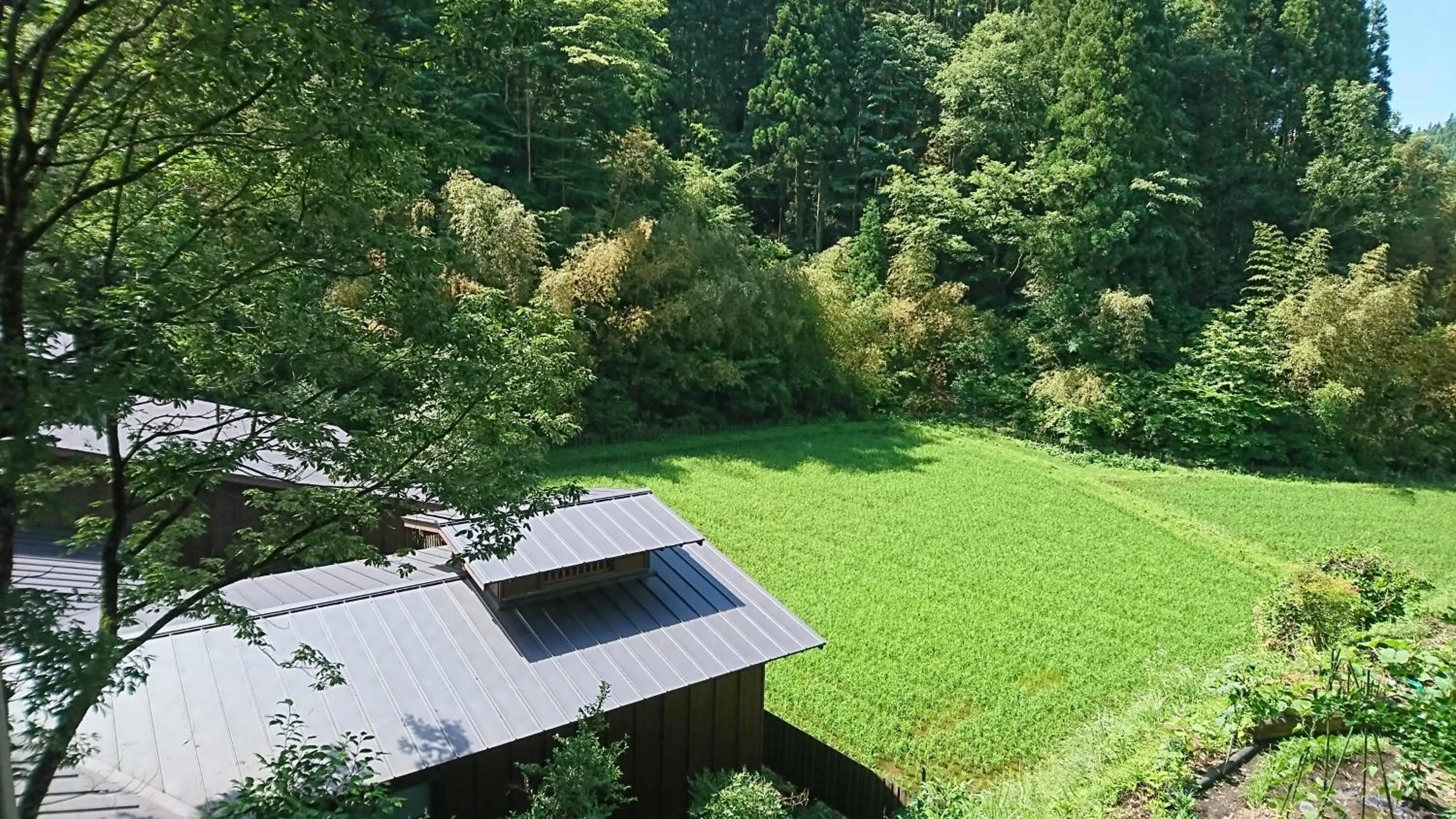 View (from property/room) in Kurokawa Onsen Ryokan Ichinoi