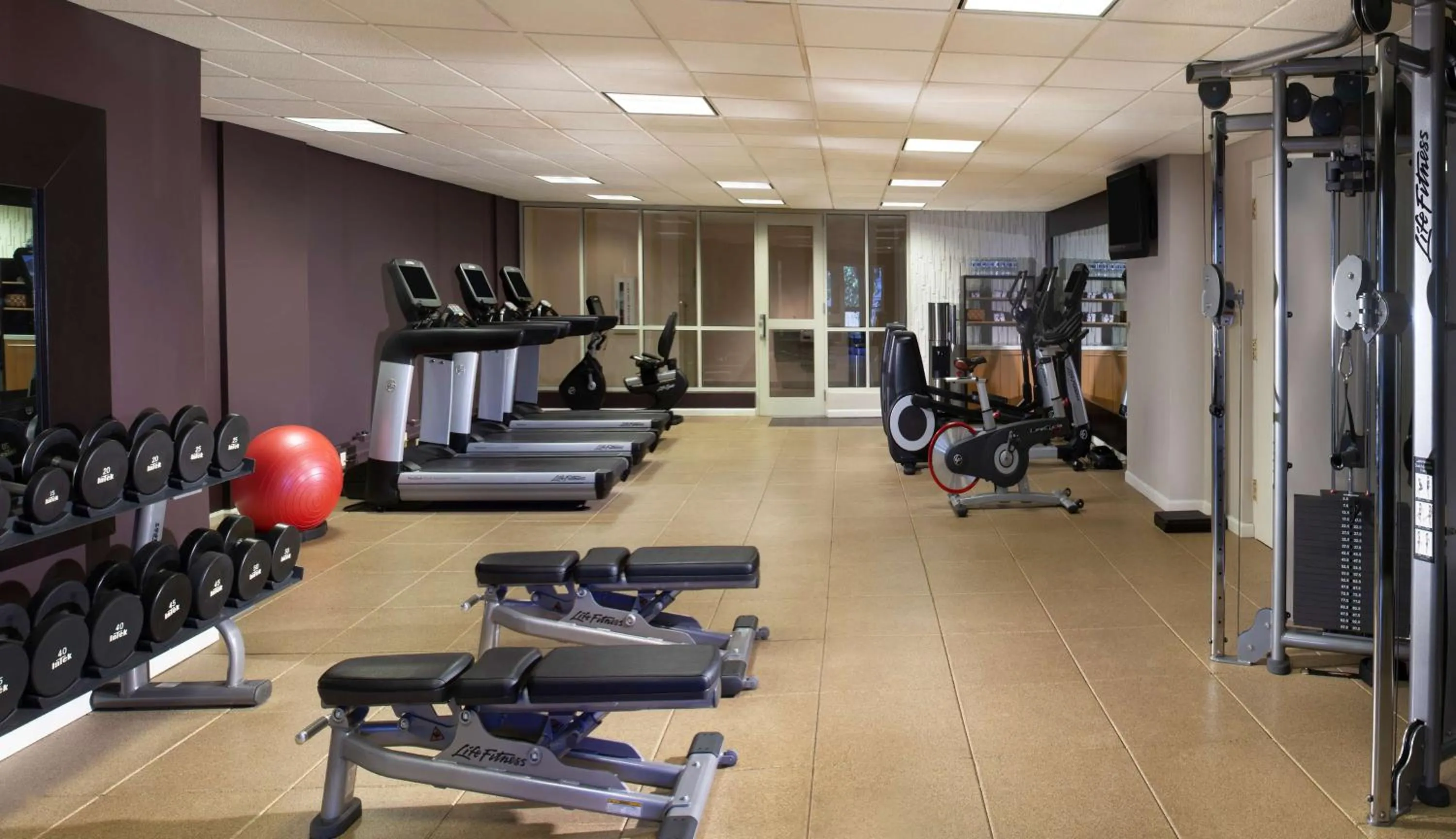 Fitness centre/facilities in Hilton Alexandria Old Town