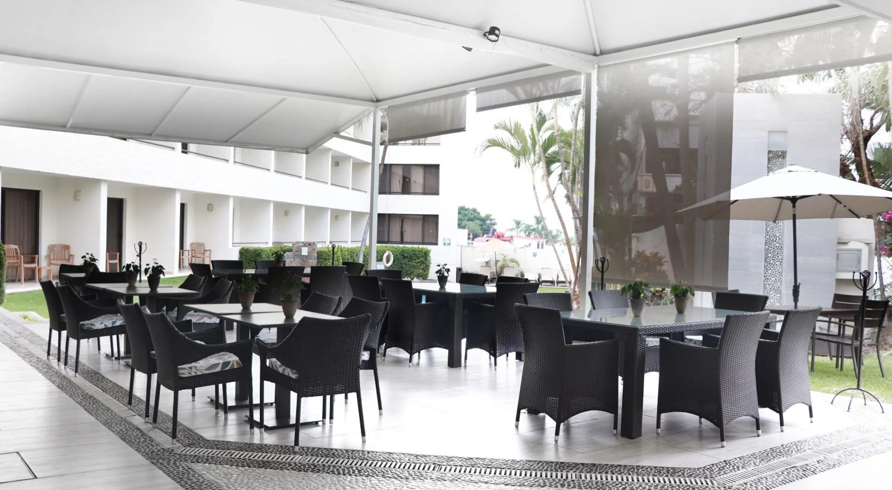 Patio in Casa Francisco